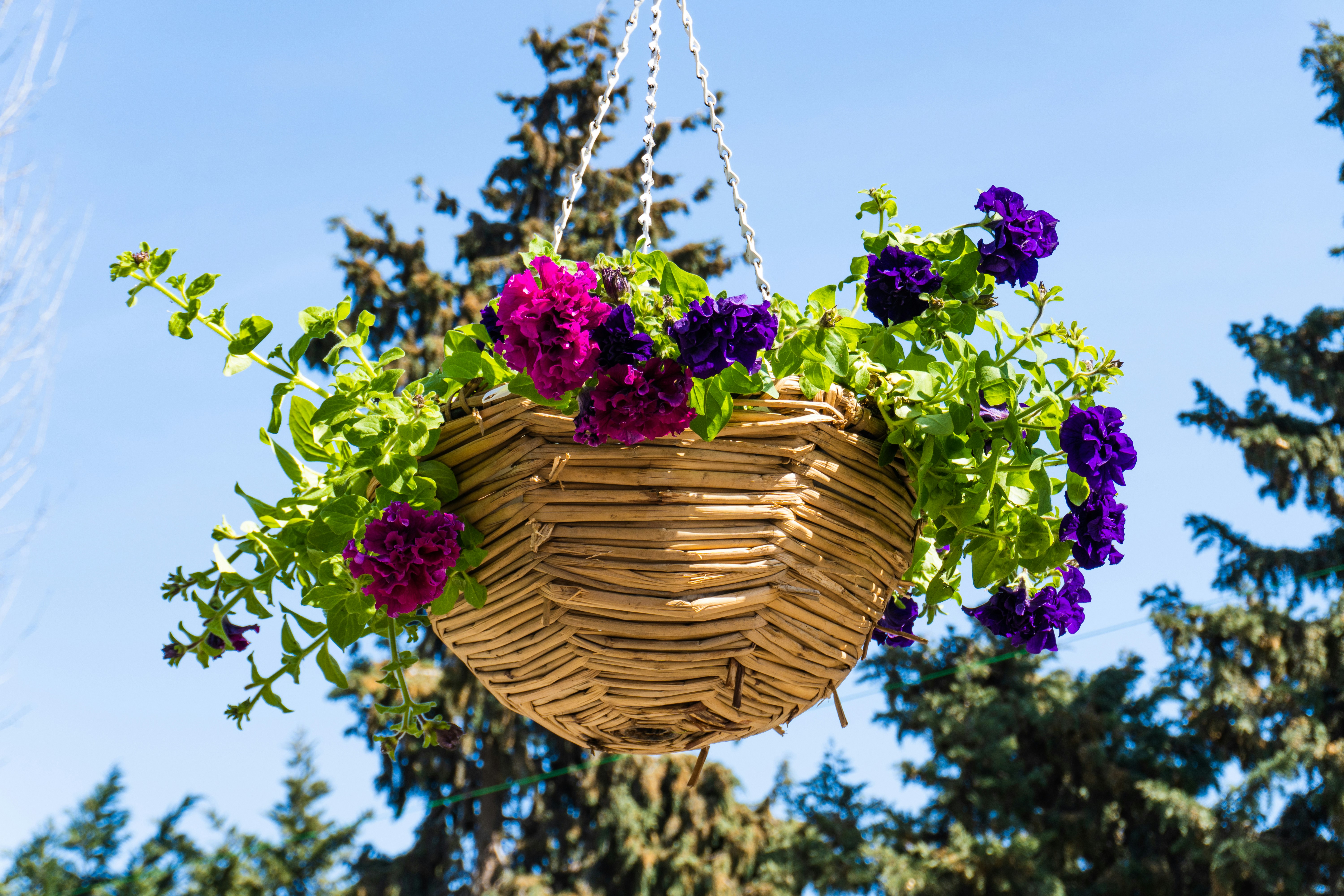 Photo by zulfugarkarimov