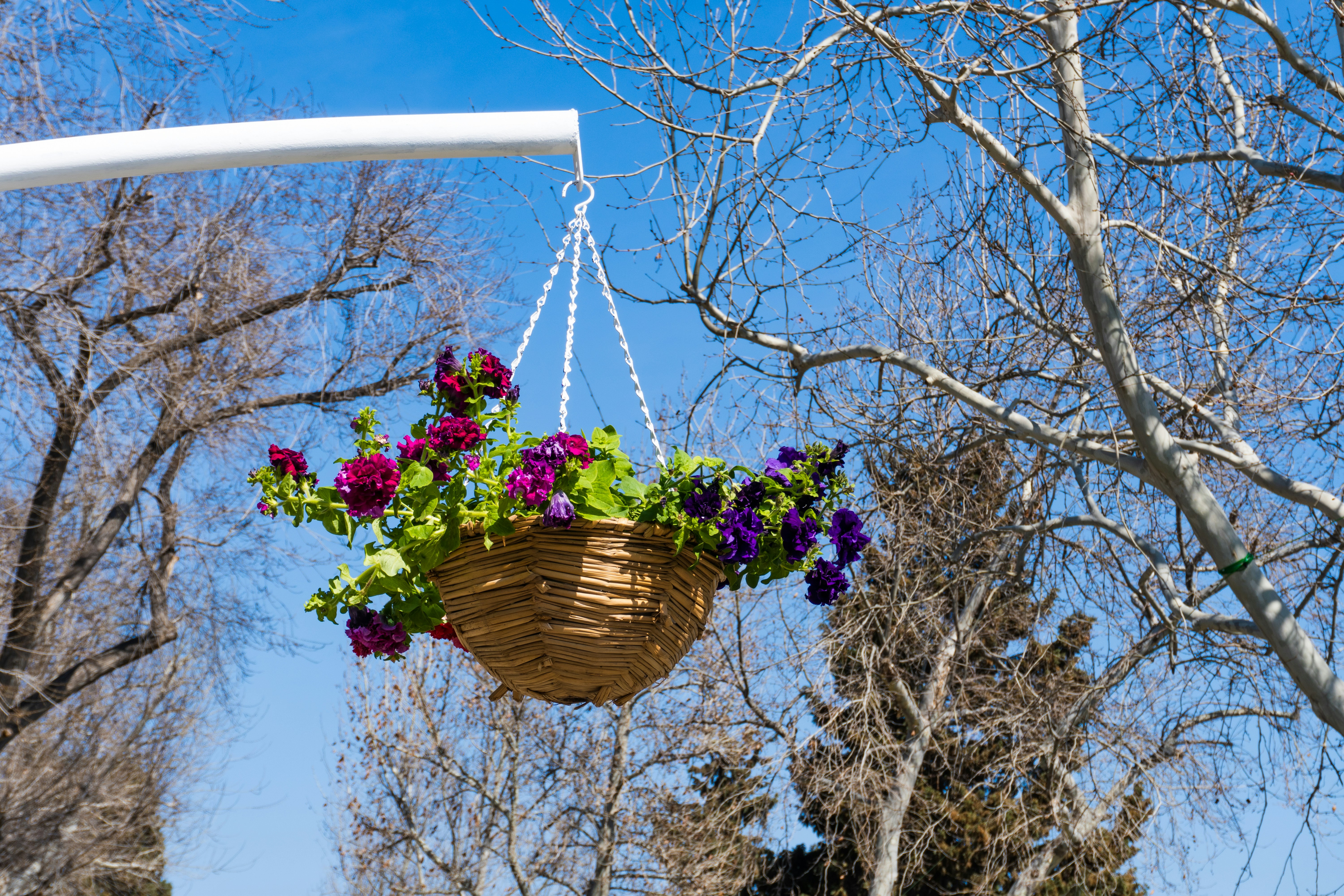 Photo by zulfugarkarimov