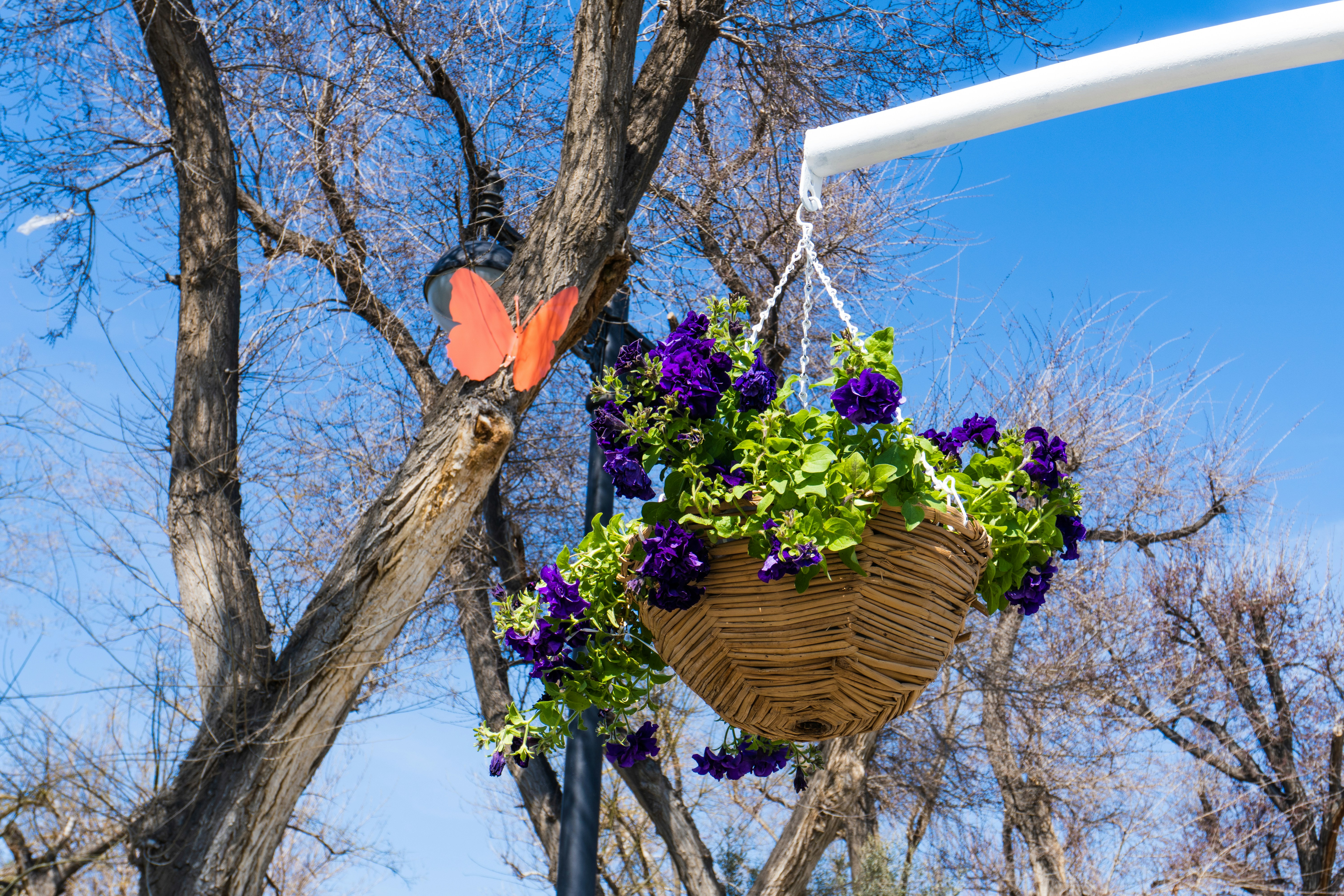 Photo by zulfugarkarimov