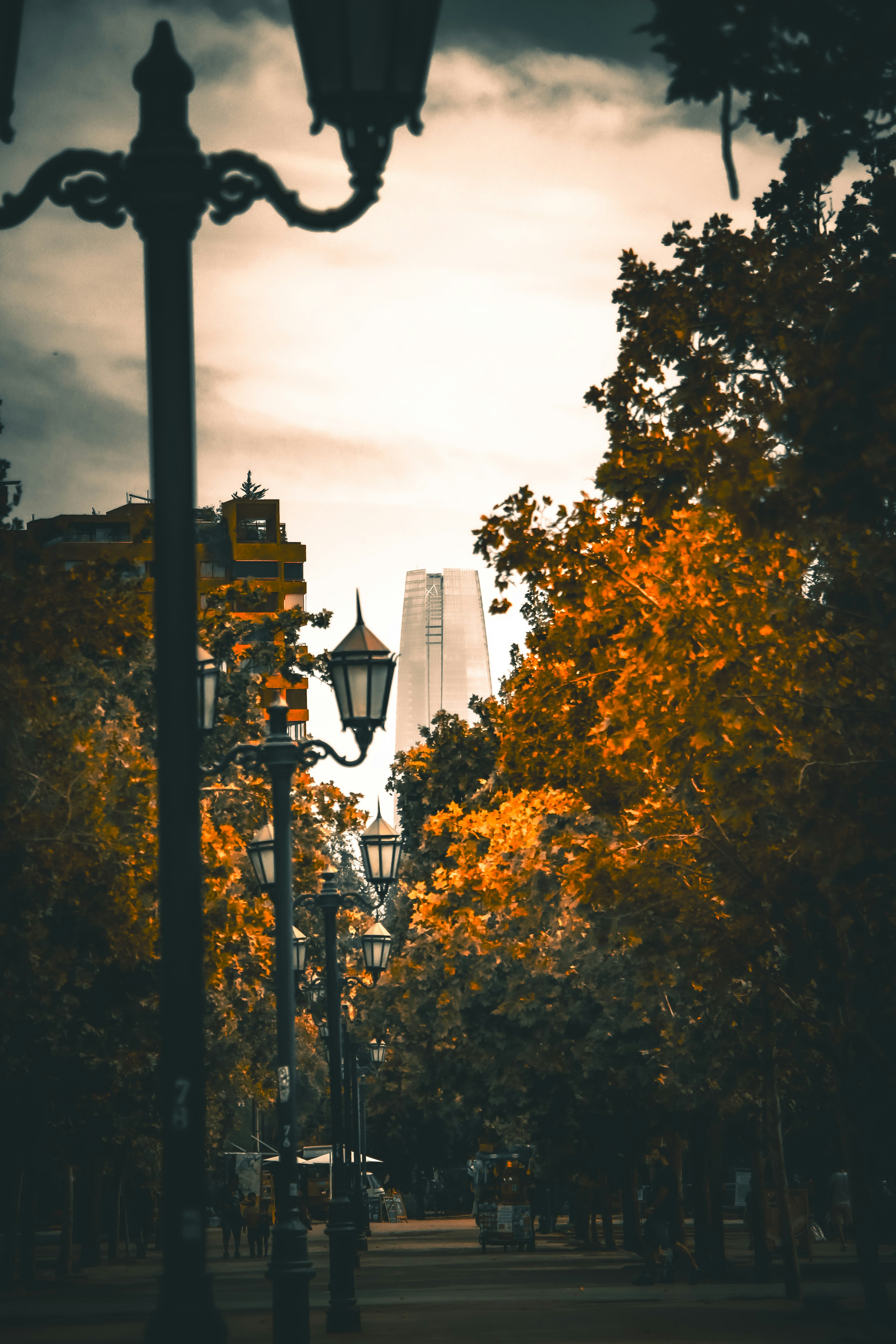 Photo by n1fenix