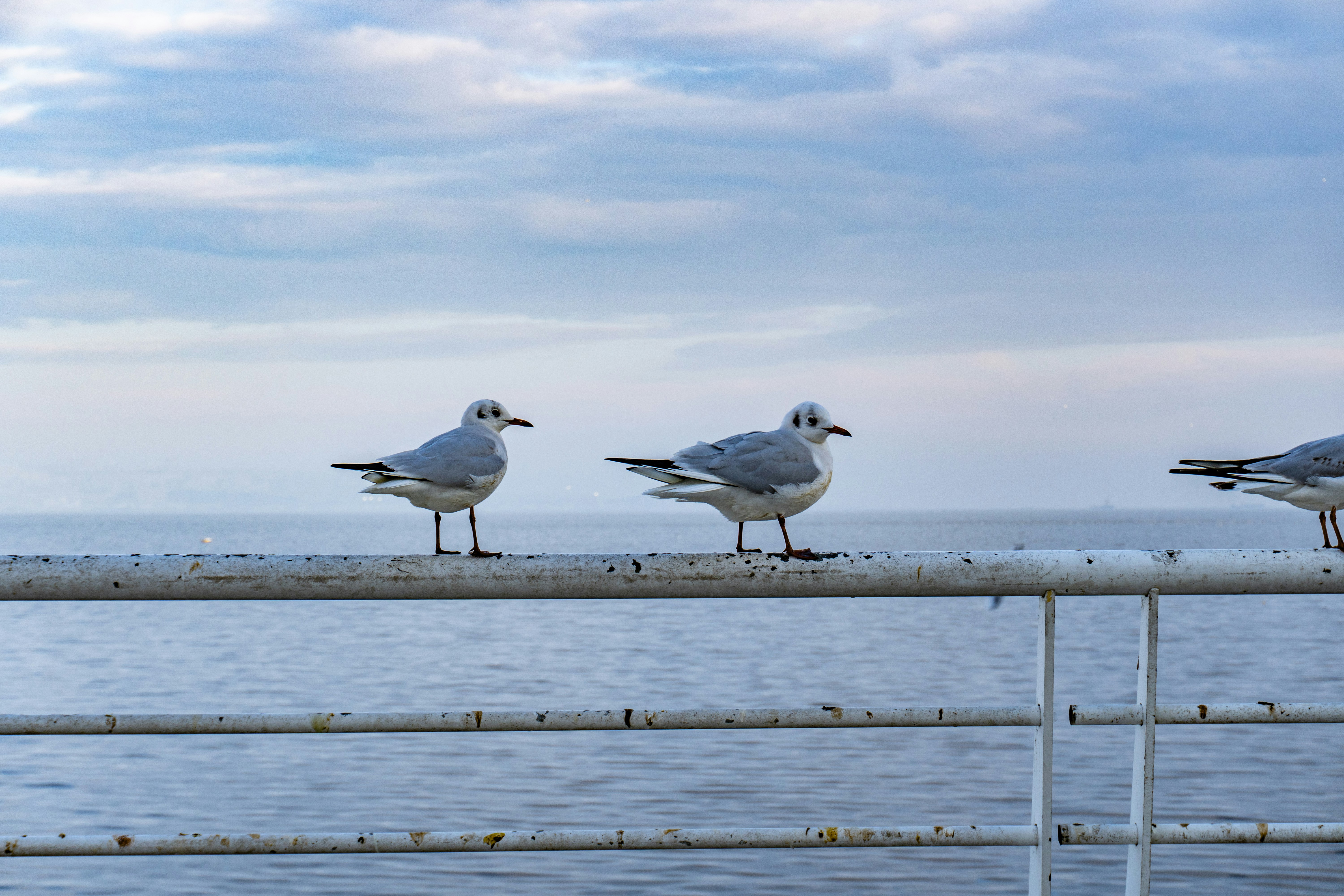 Photo by zulfugarkarimov