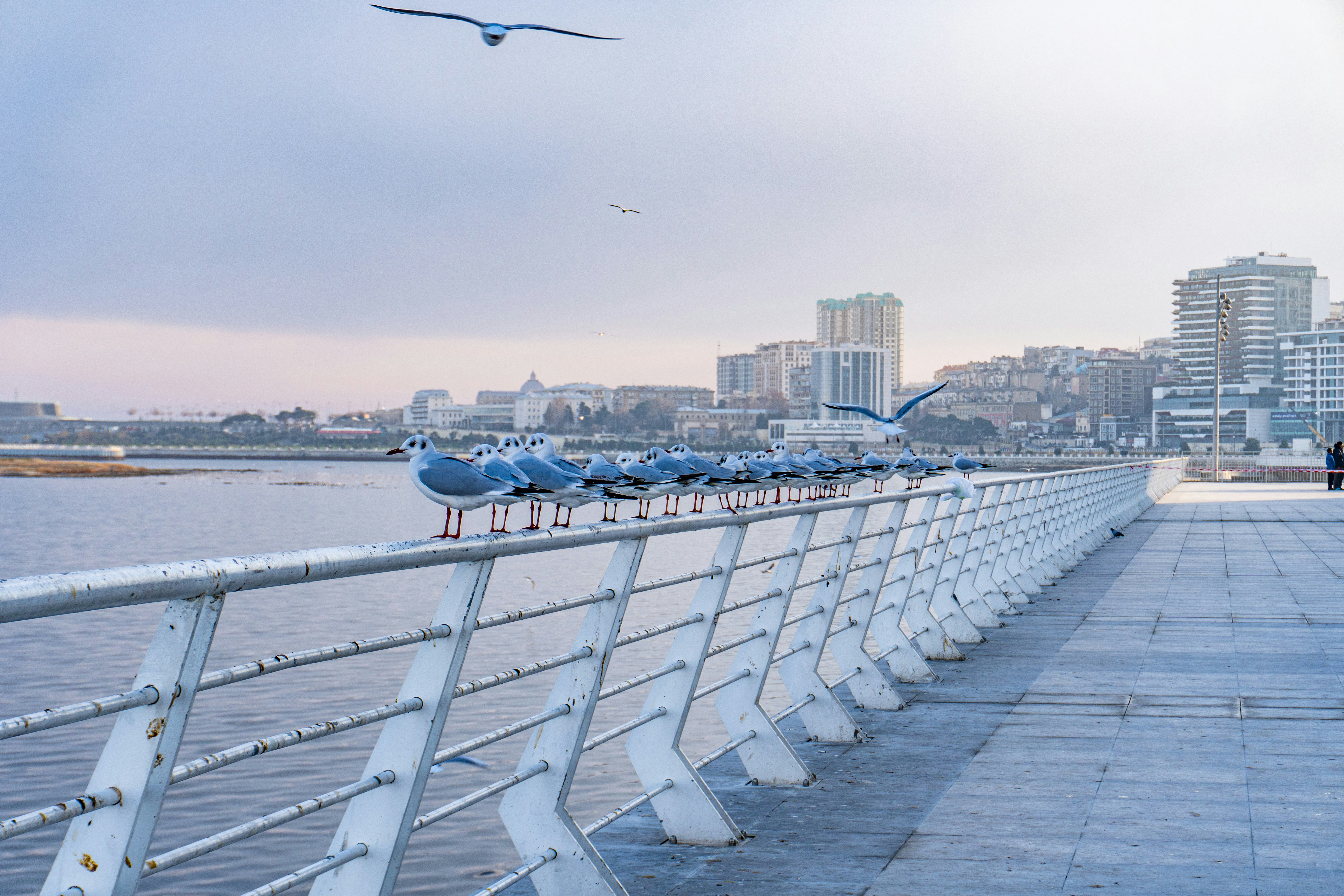 Photo by zulfugarkarimov