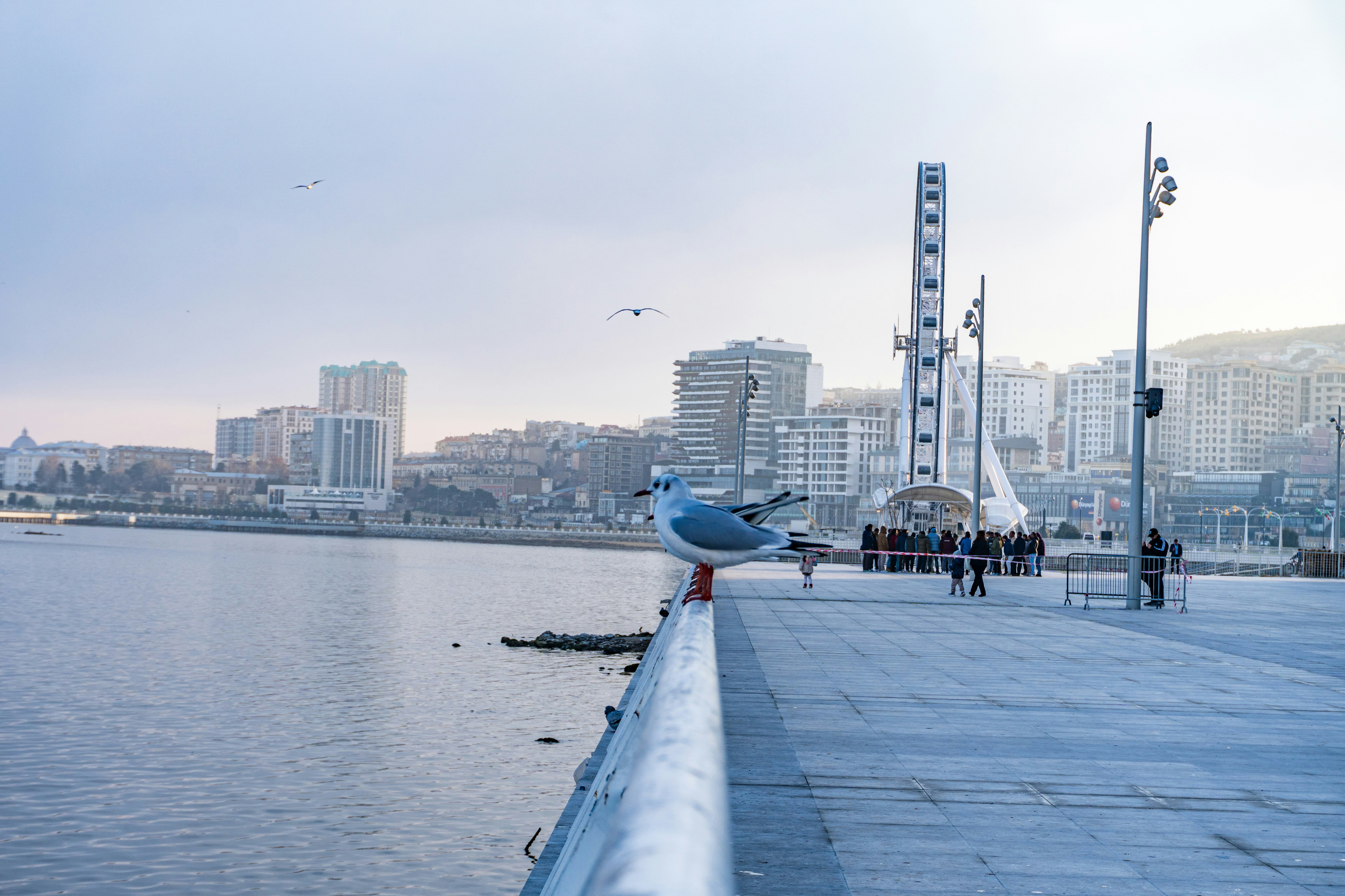 Photo by zulfugarkarimov