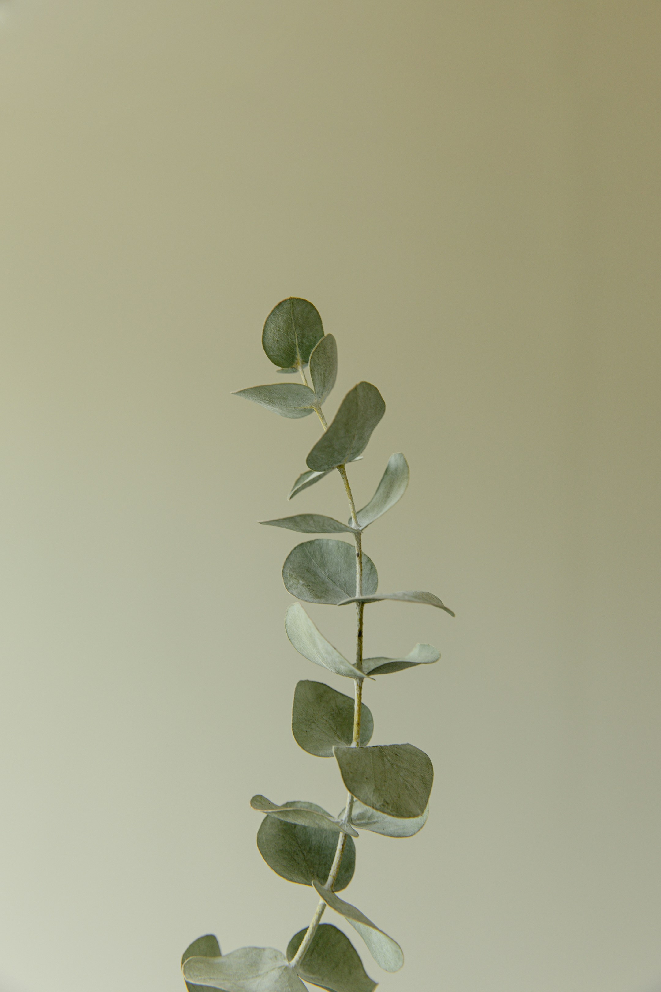 Photo by sibelivelazquez