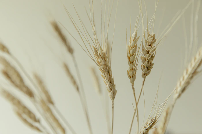 Grain at a local market