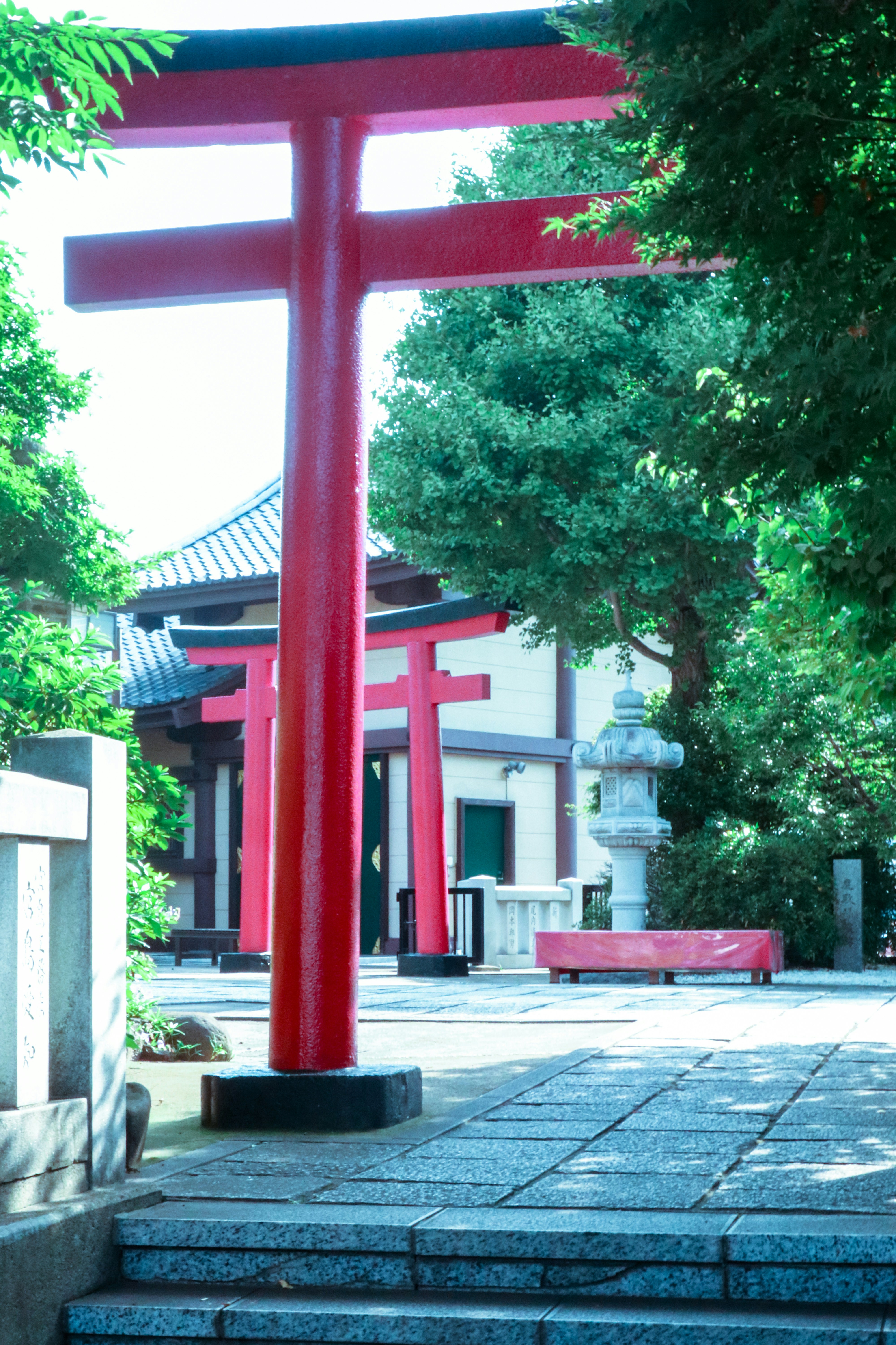 Photo by tckkyy
