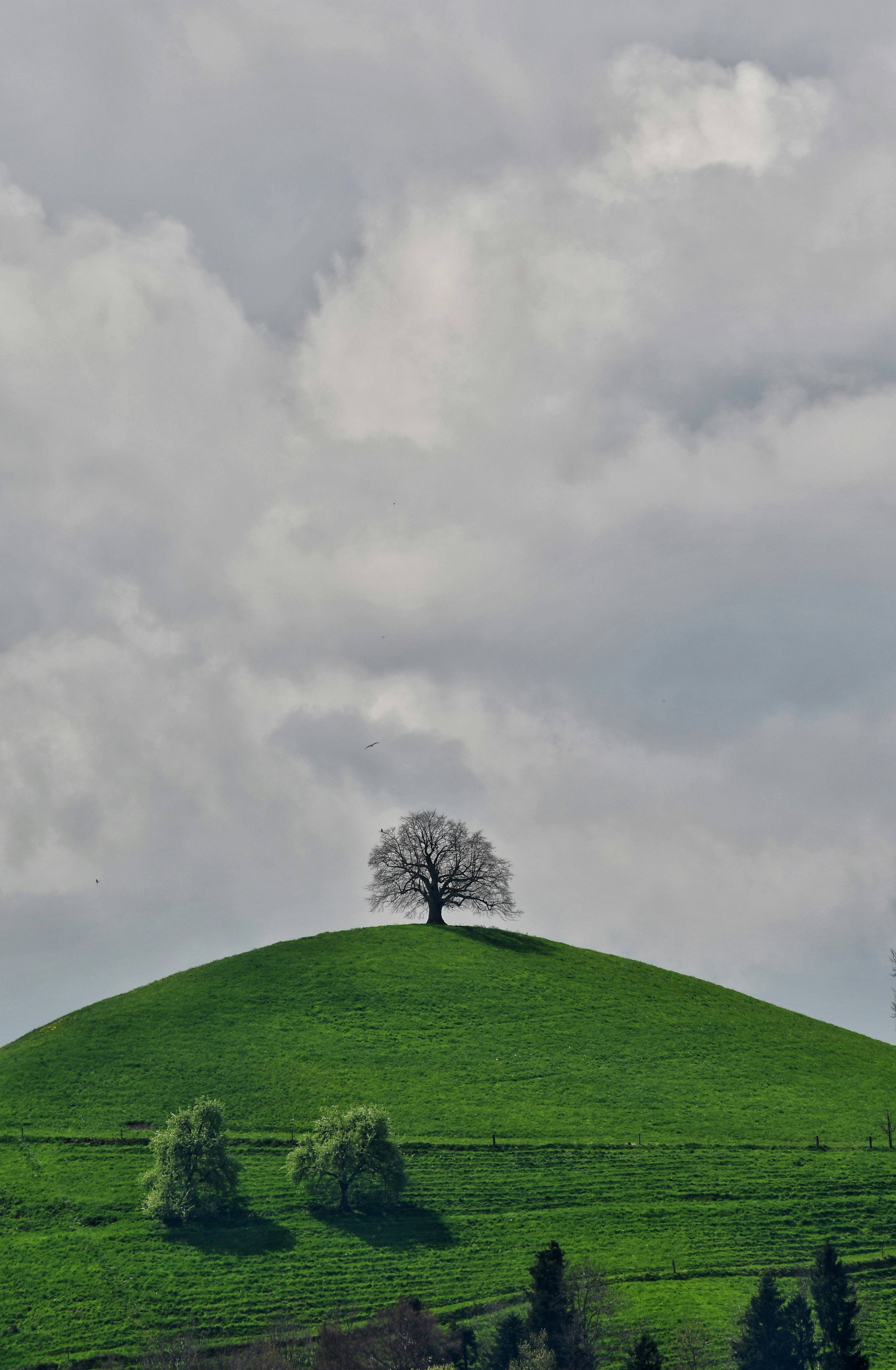 Photo by pedrino5_official