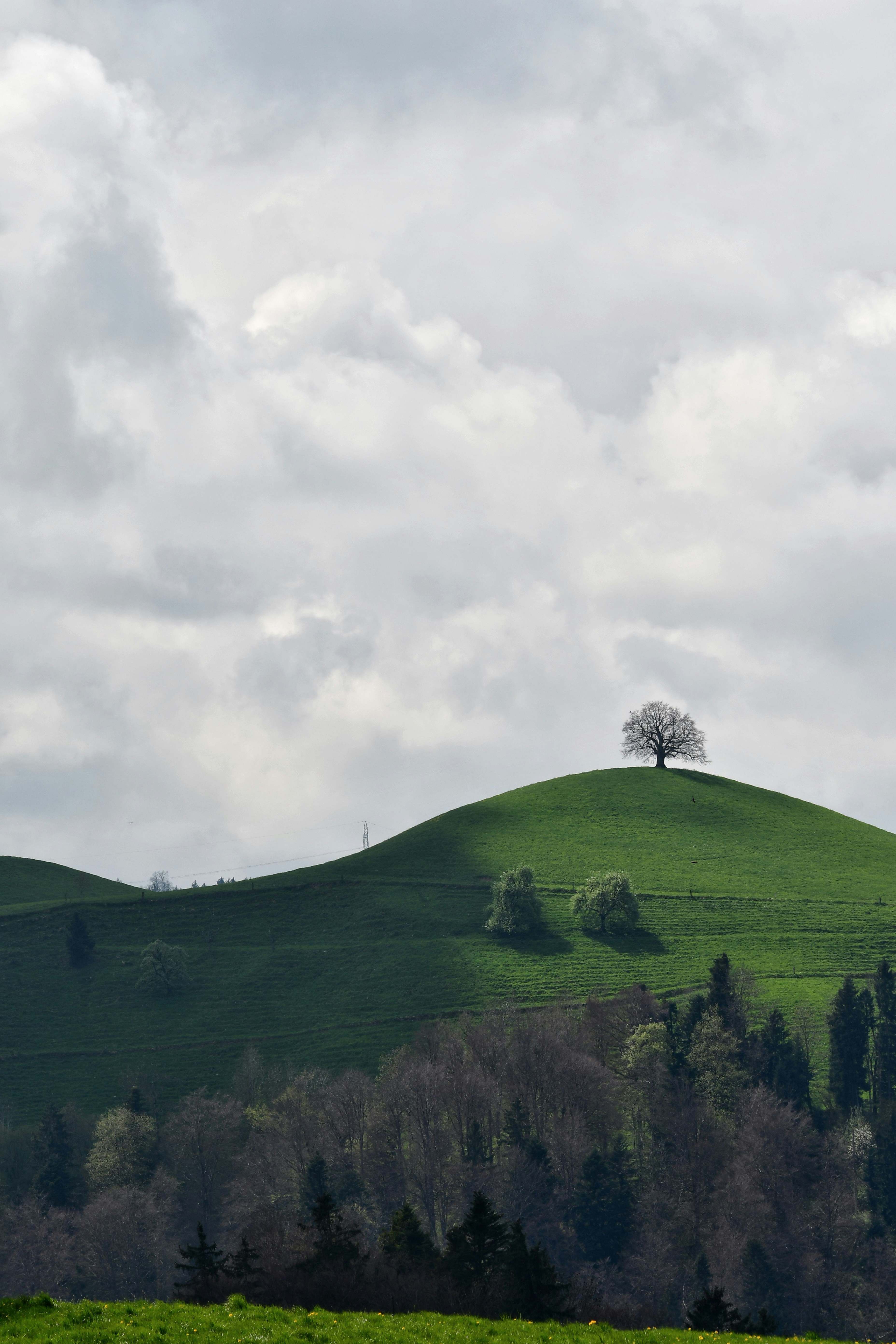 Photo by pedrino5_official