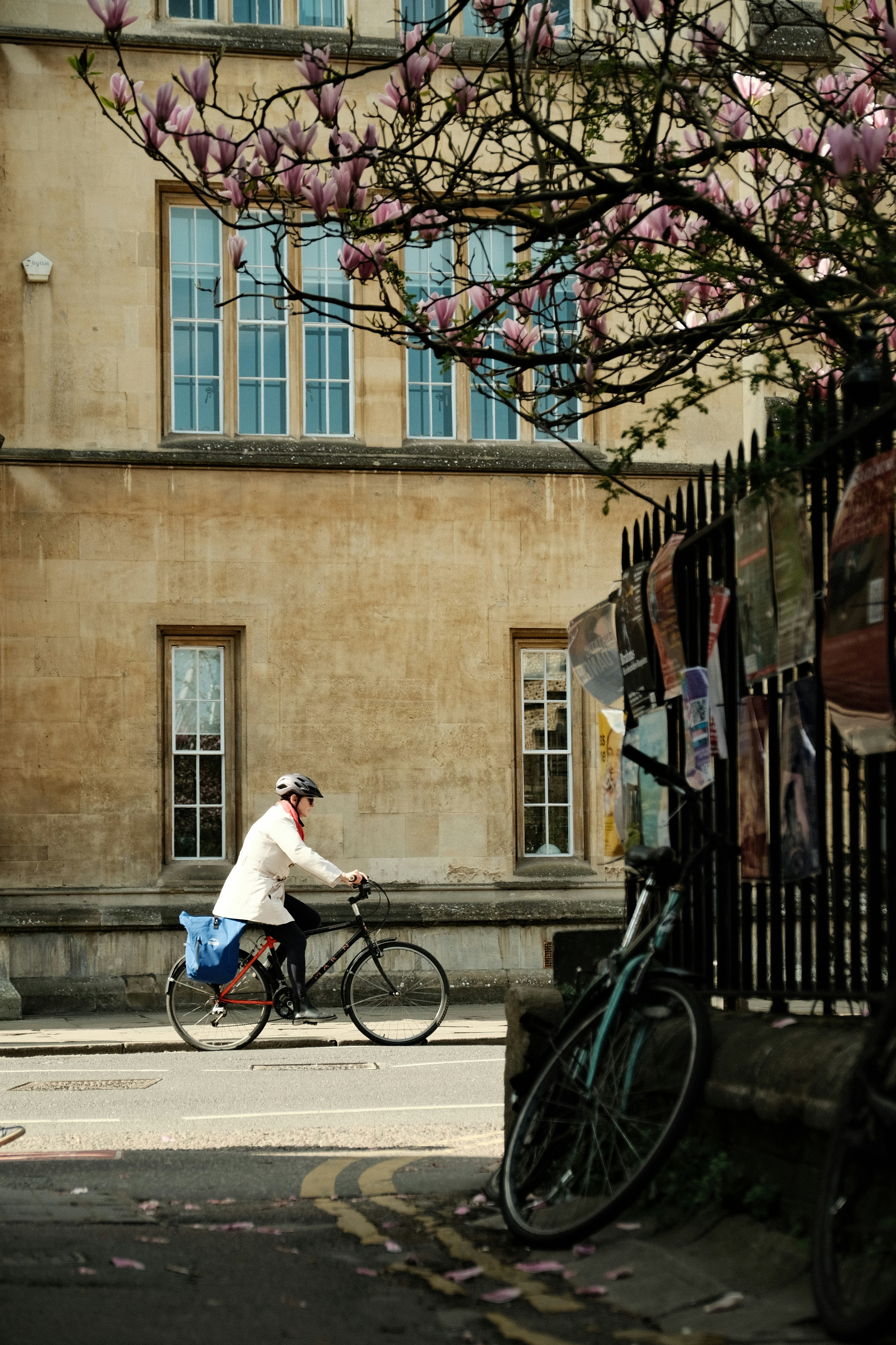 A cyclist rides by a building with blossoms.
