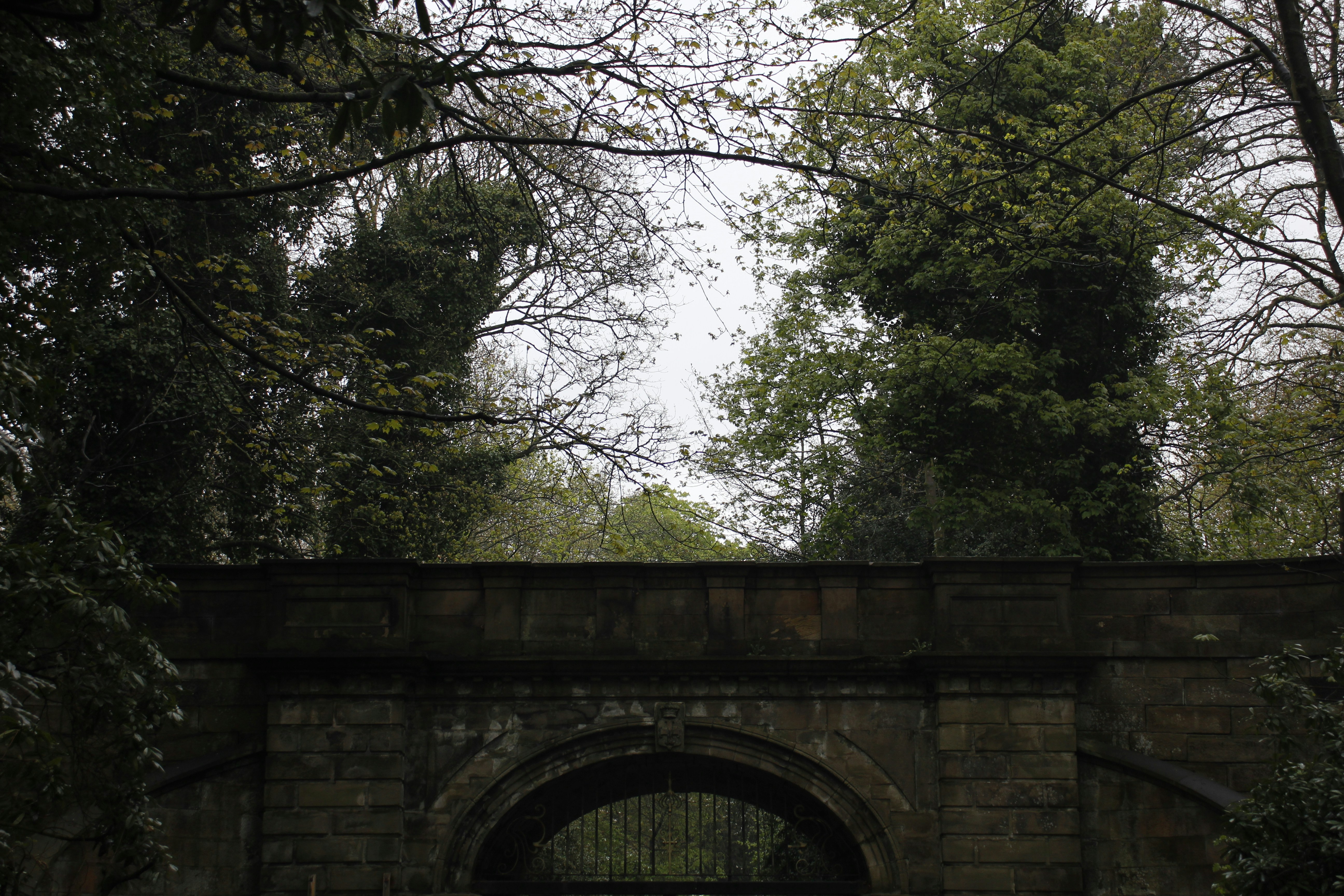 Photo by bloominghyacinth