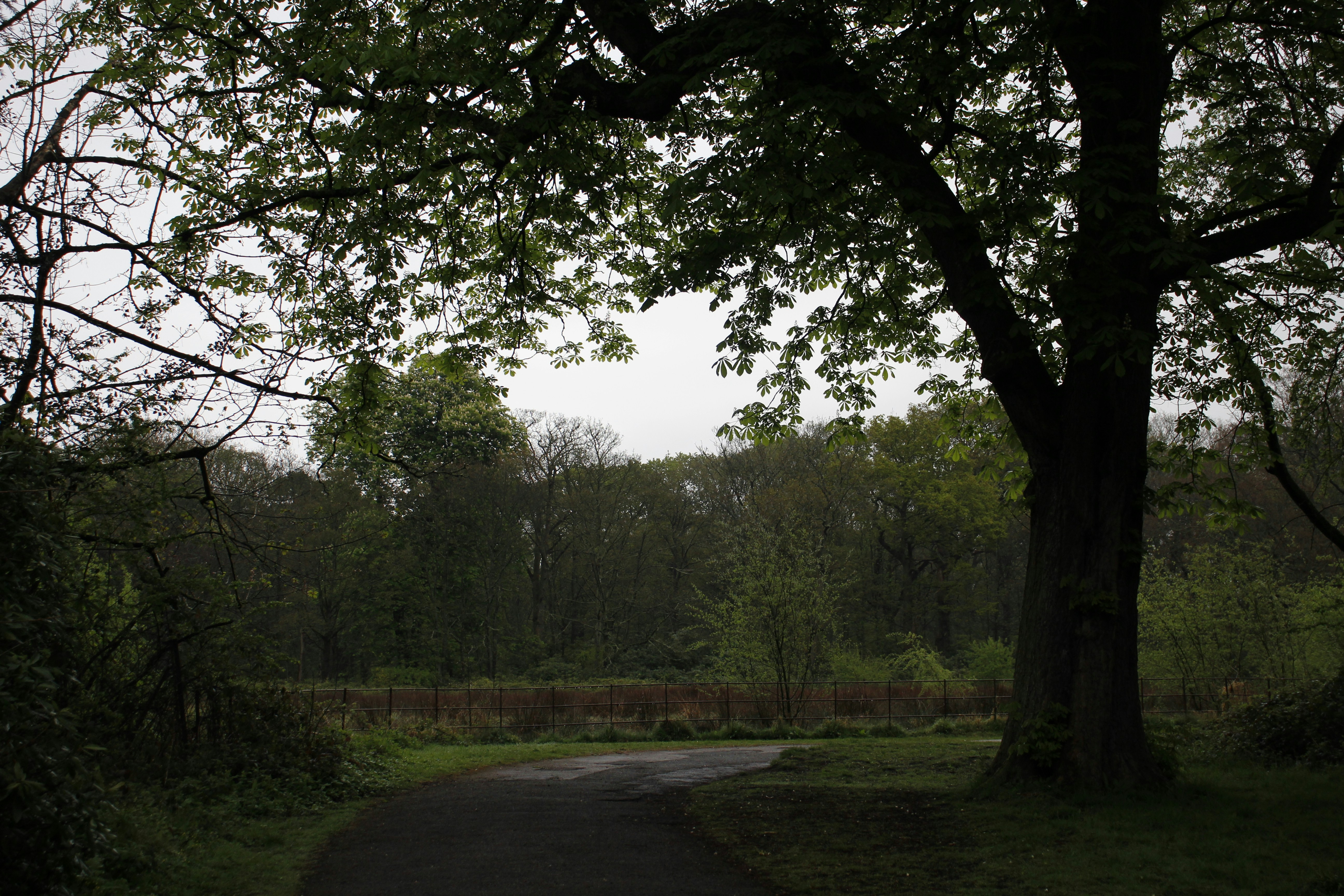 Century Oaks Park