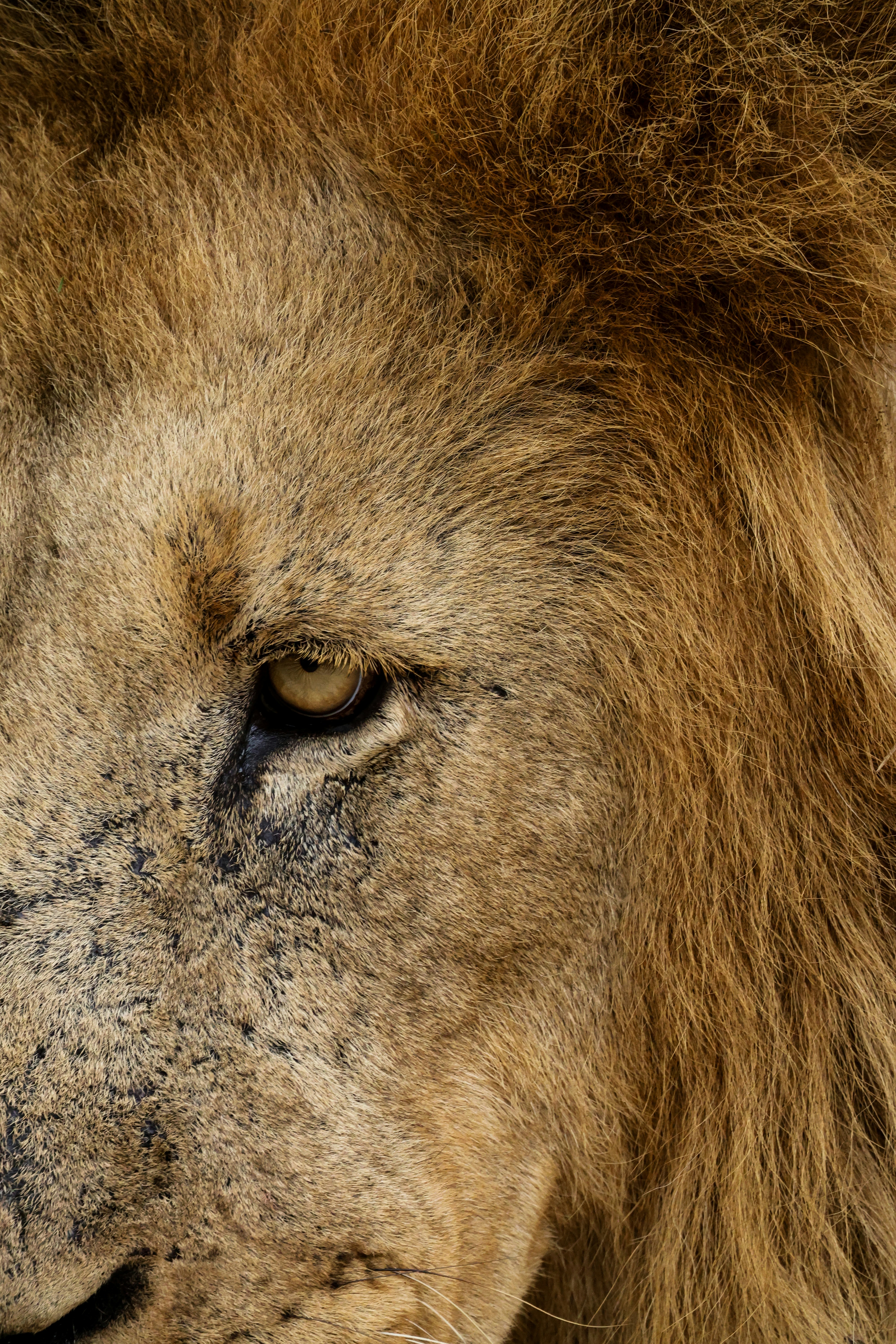 How To Use Bubbles For Rotation… BTC.D, ETH.D, Sectors