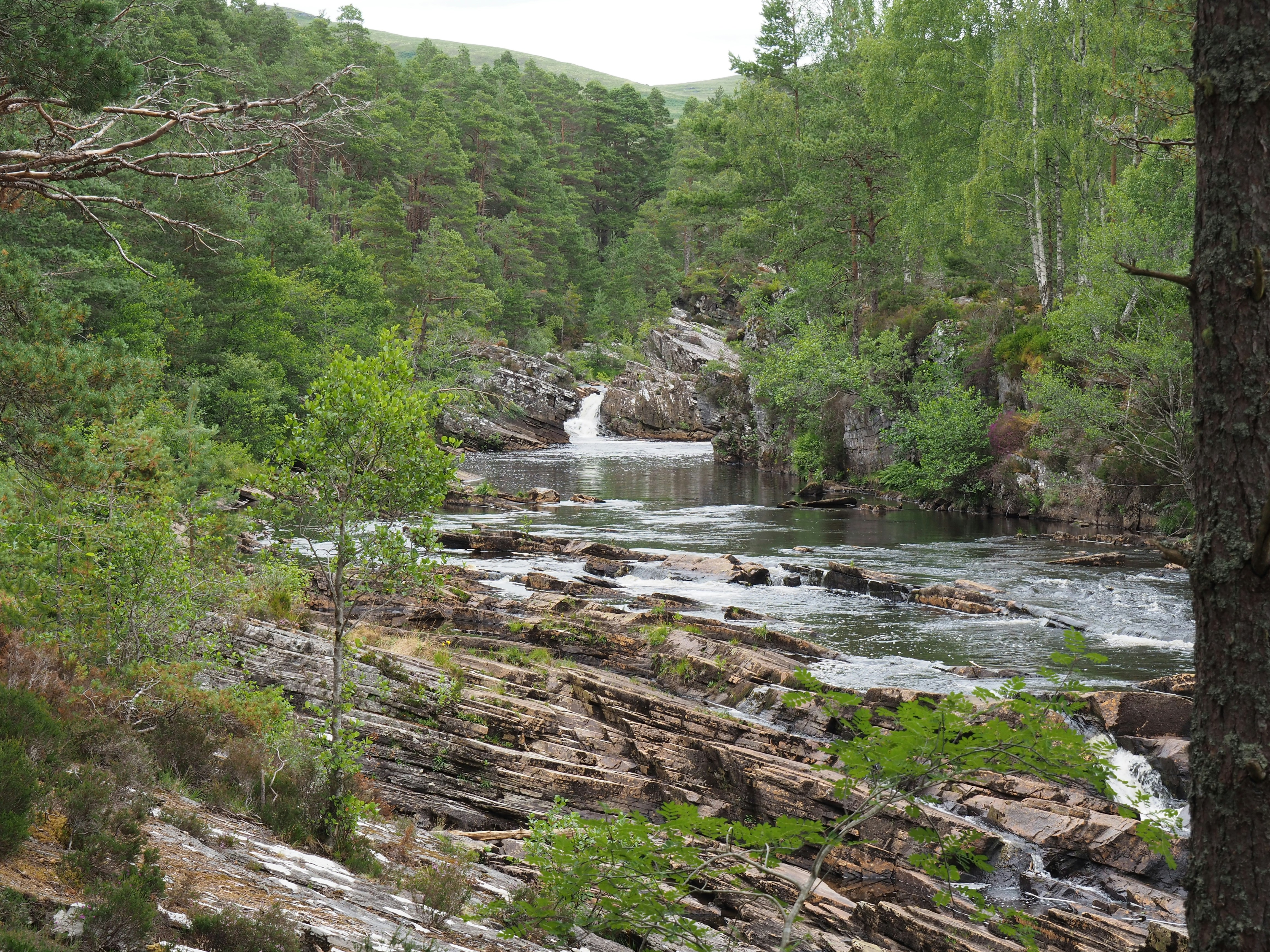 Photo by fotografie_thomas_nolte