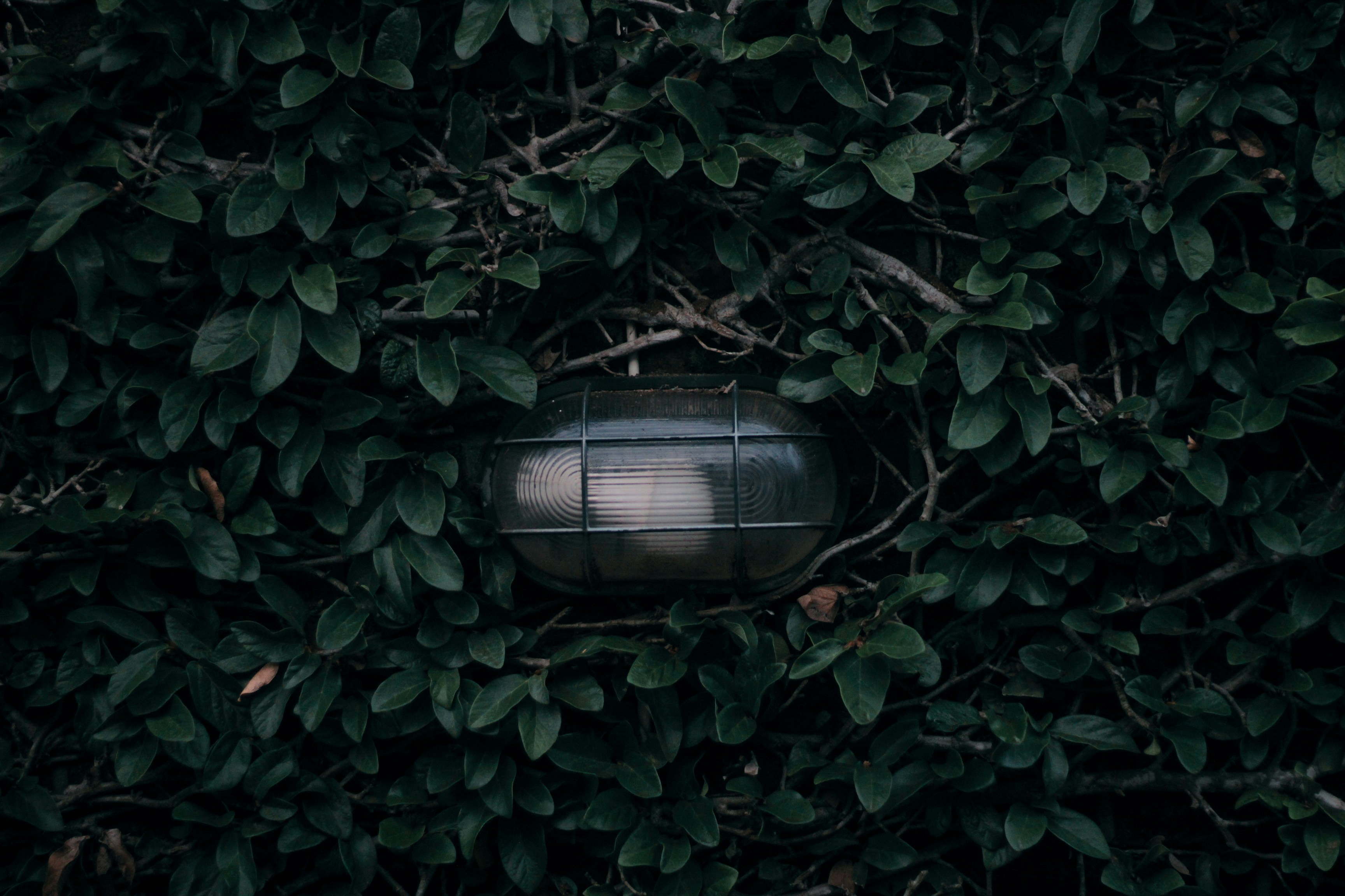 Blantyre, Malawi - None