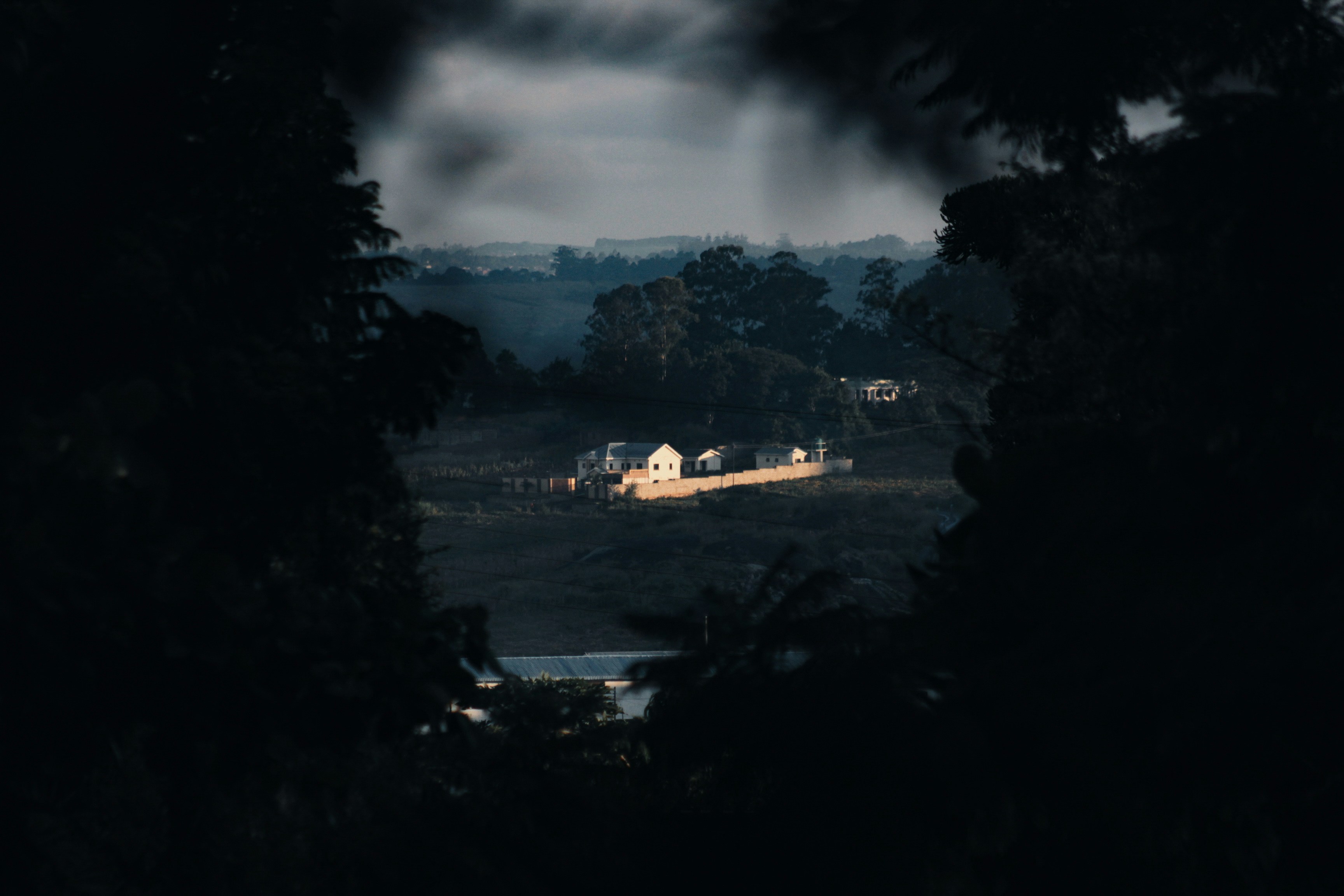 A distant landscape framed by dark foliage.
