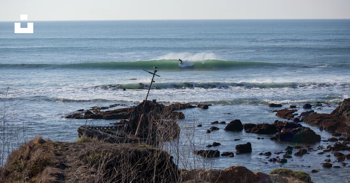 A surfer rides a wave in the ocean. photo – Free Beach Image on Unsplash