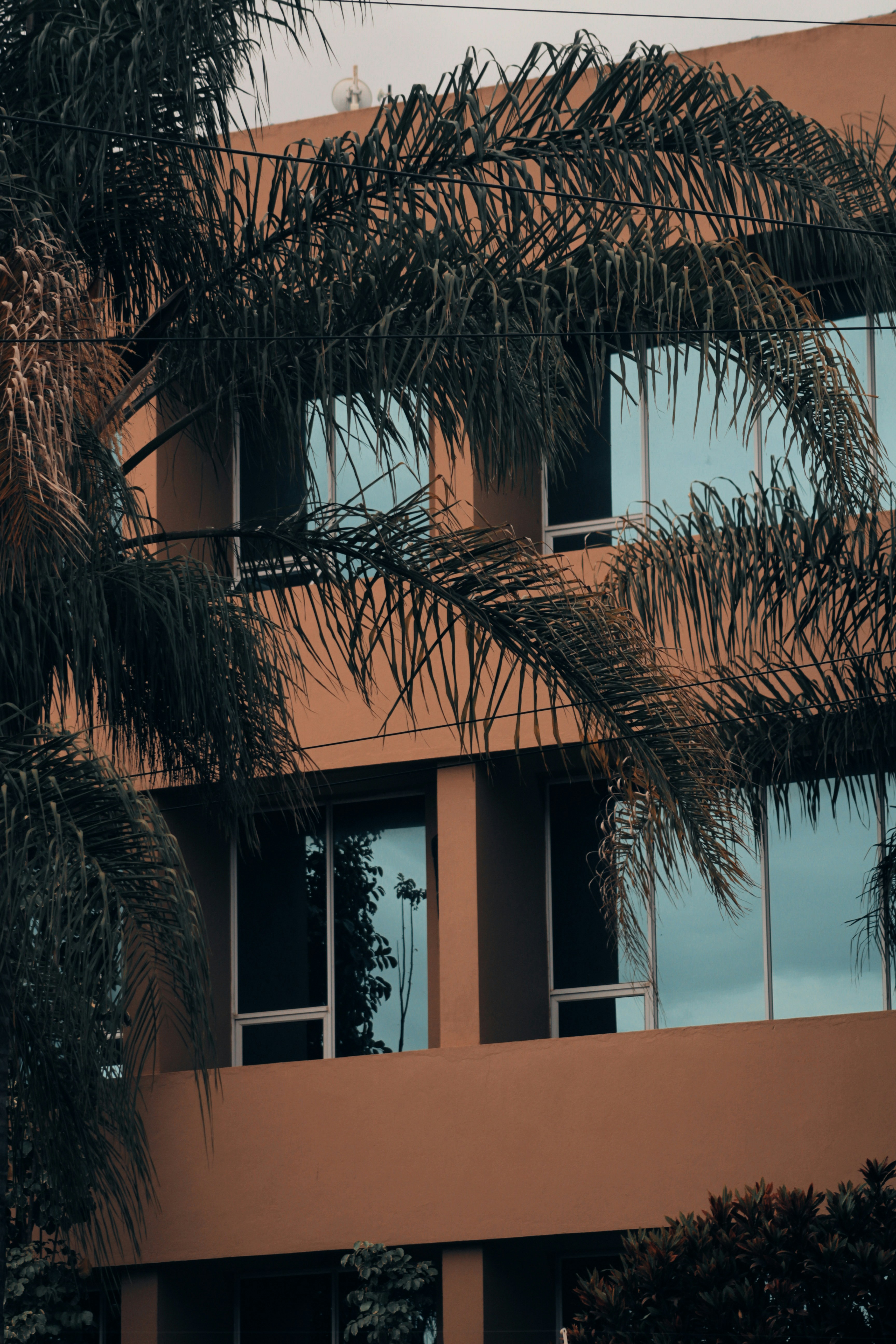 Photo by chimangoszn