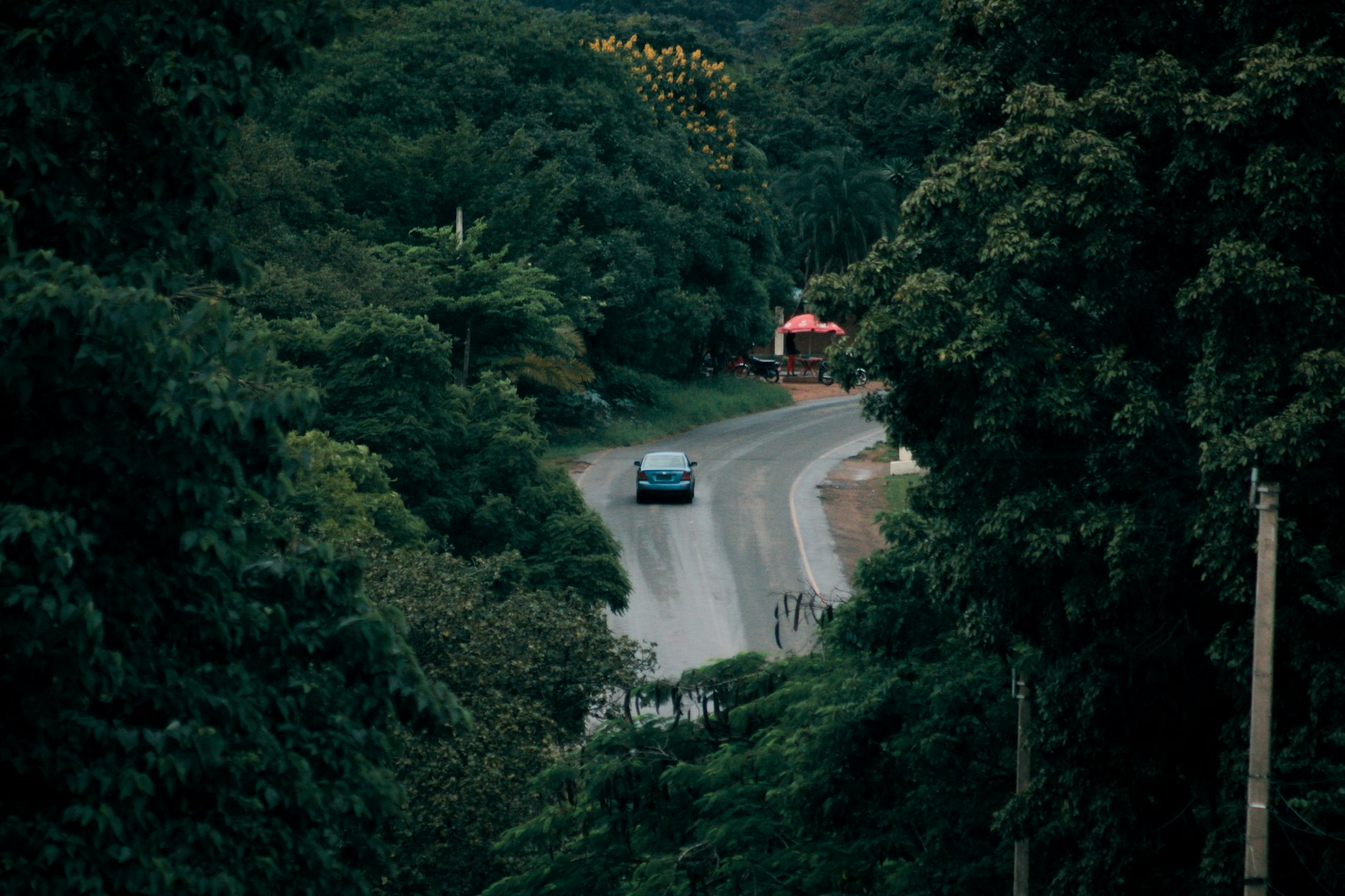 Car driving on a winding paved road surrounded by dense tropical vegetation in Malawi