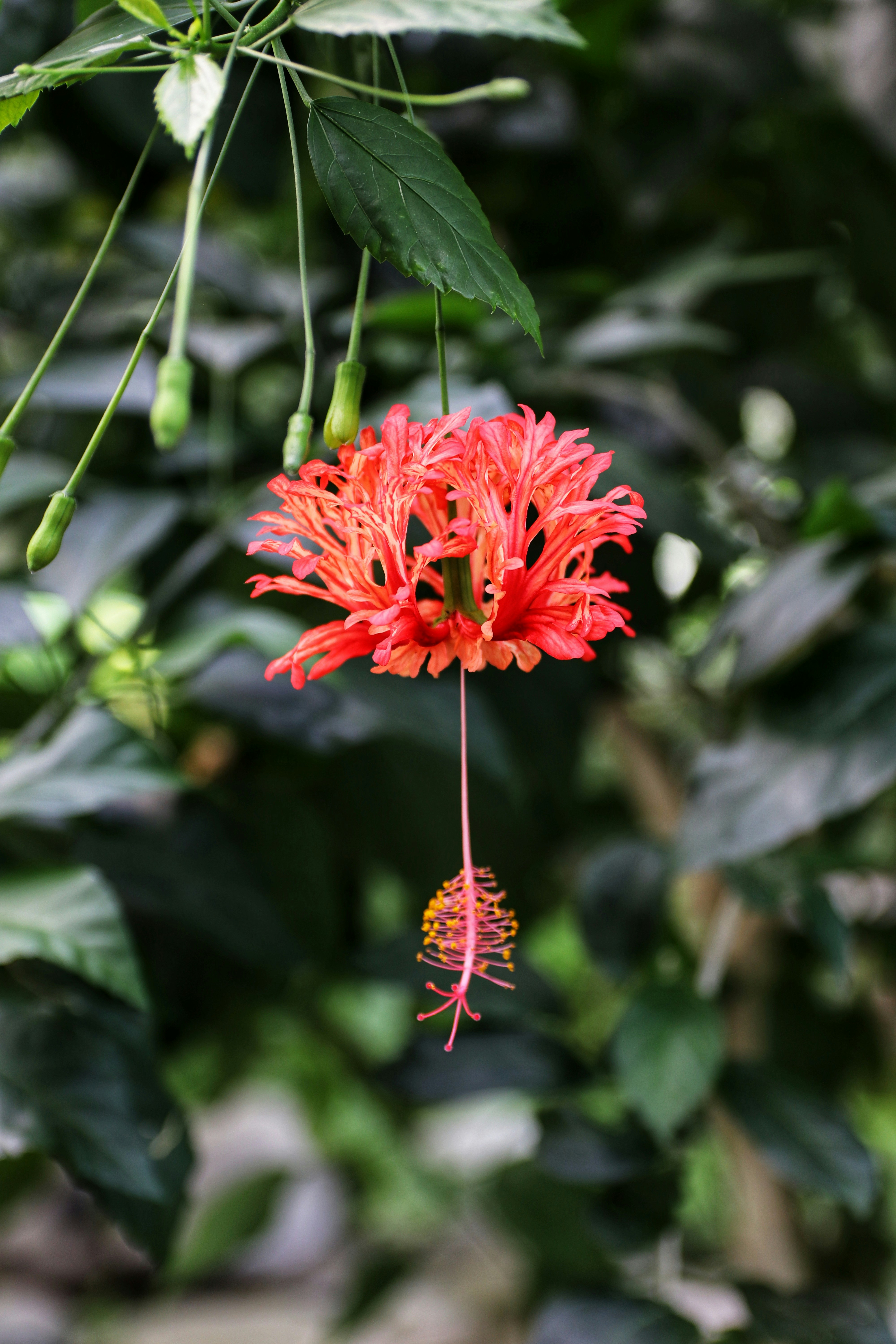 Photo by m_mendez_ix