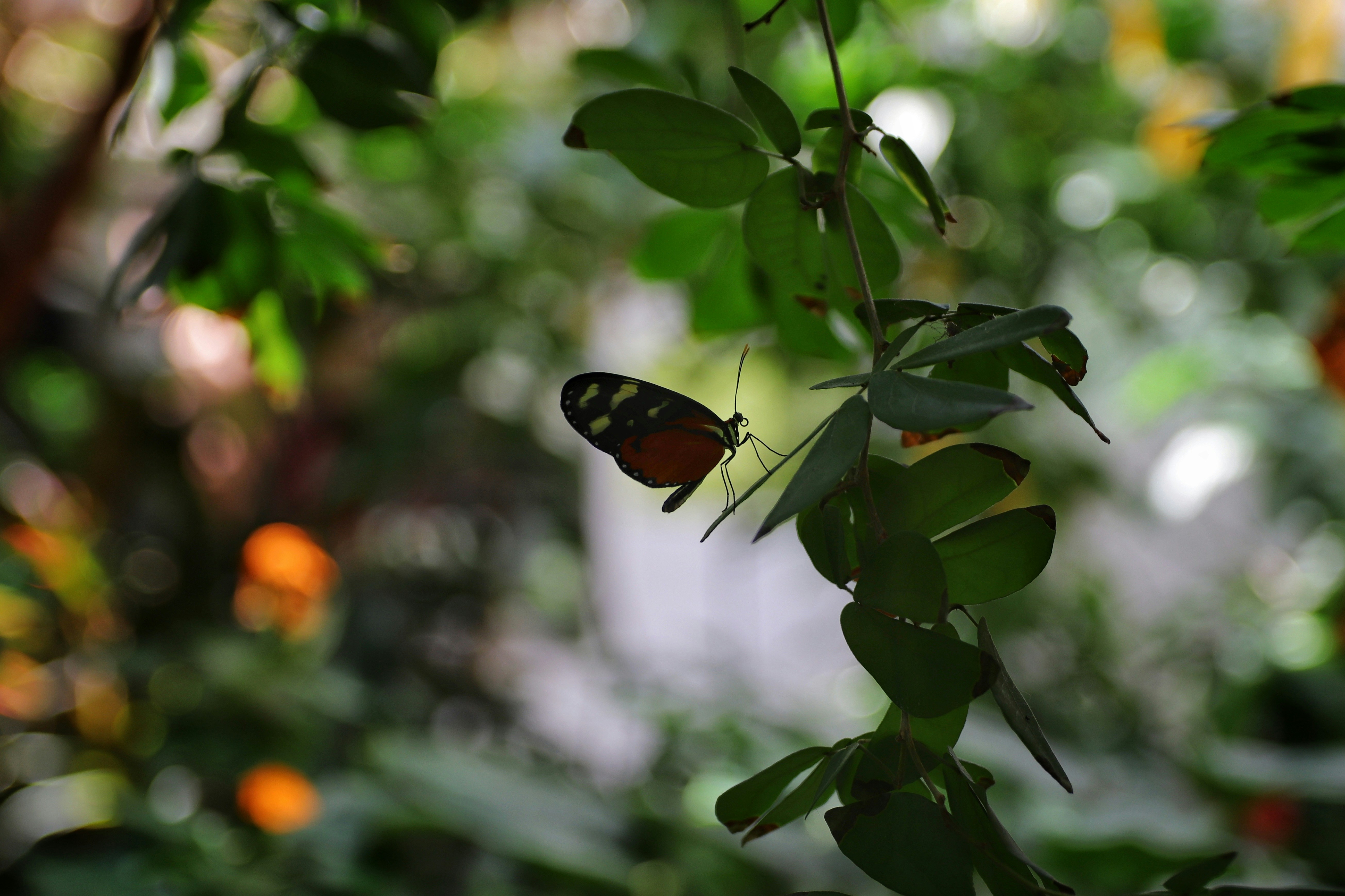 Photo by m_mendez_ix