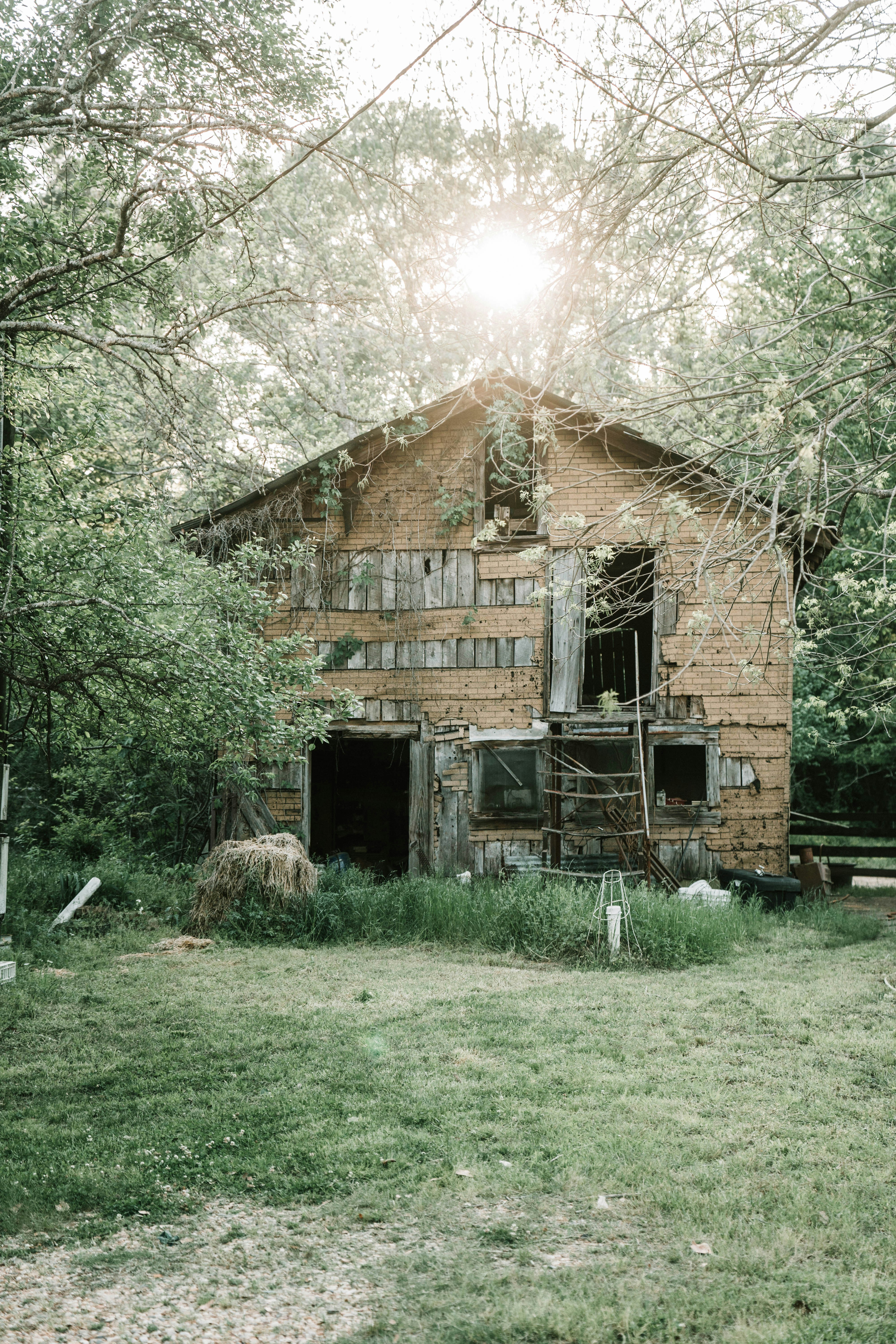 An old, weathered barn sits amid trees.