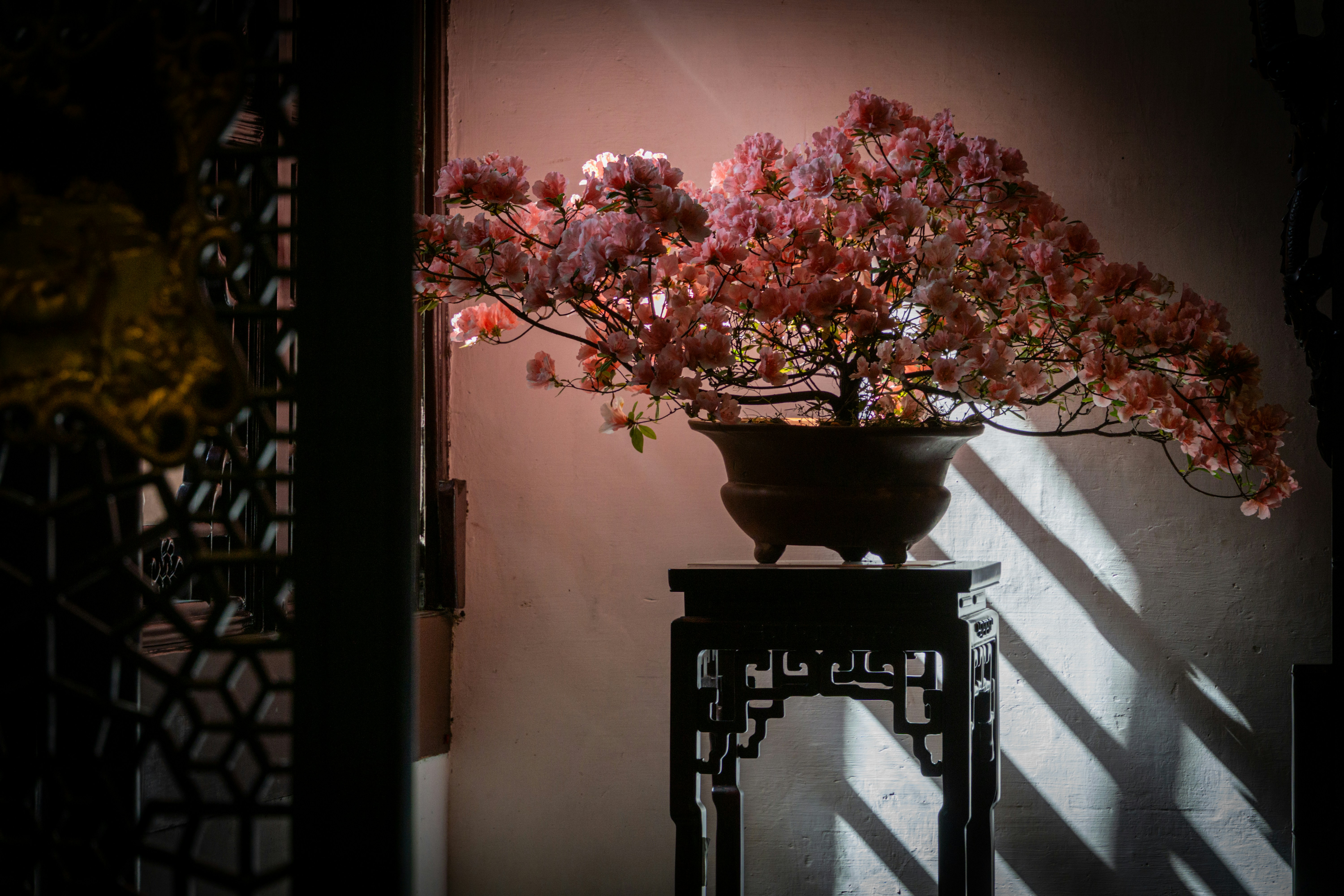 Photo by plasticine66