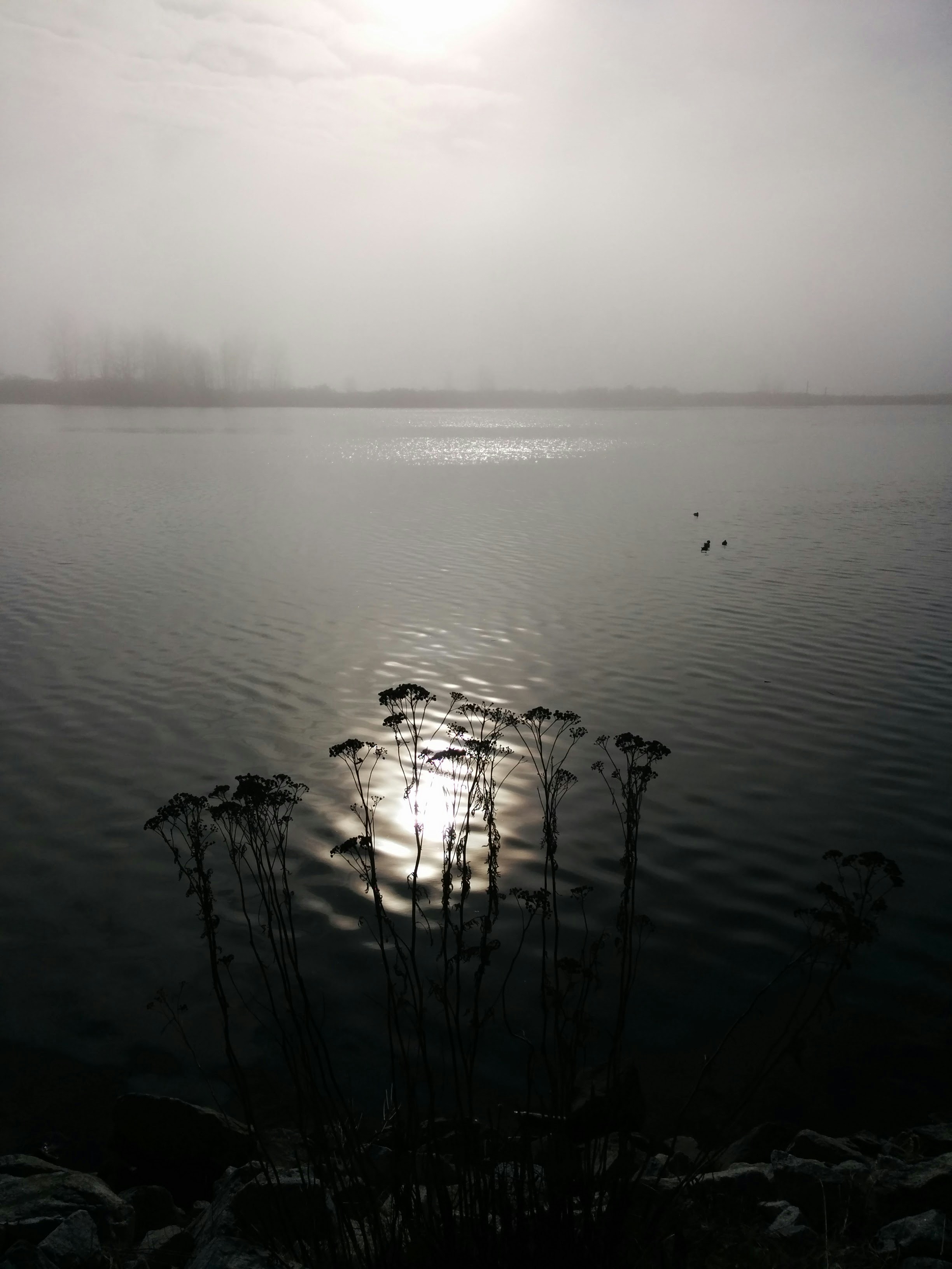 Photo by ghostly_vancouver_tours