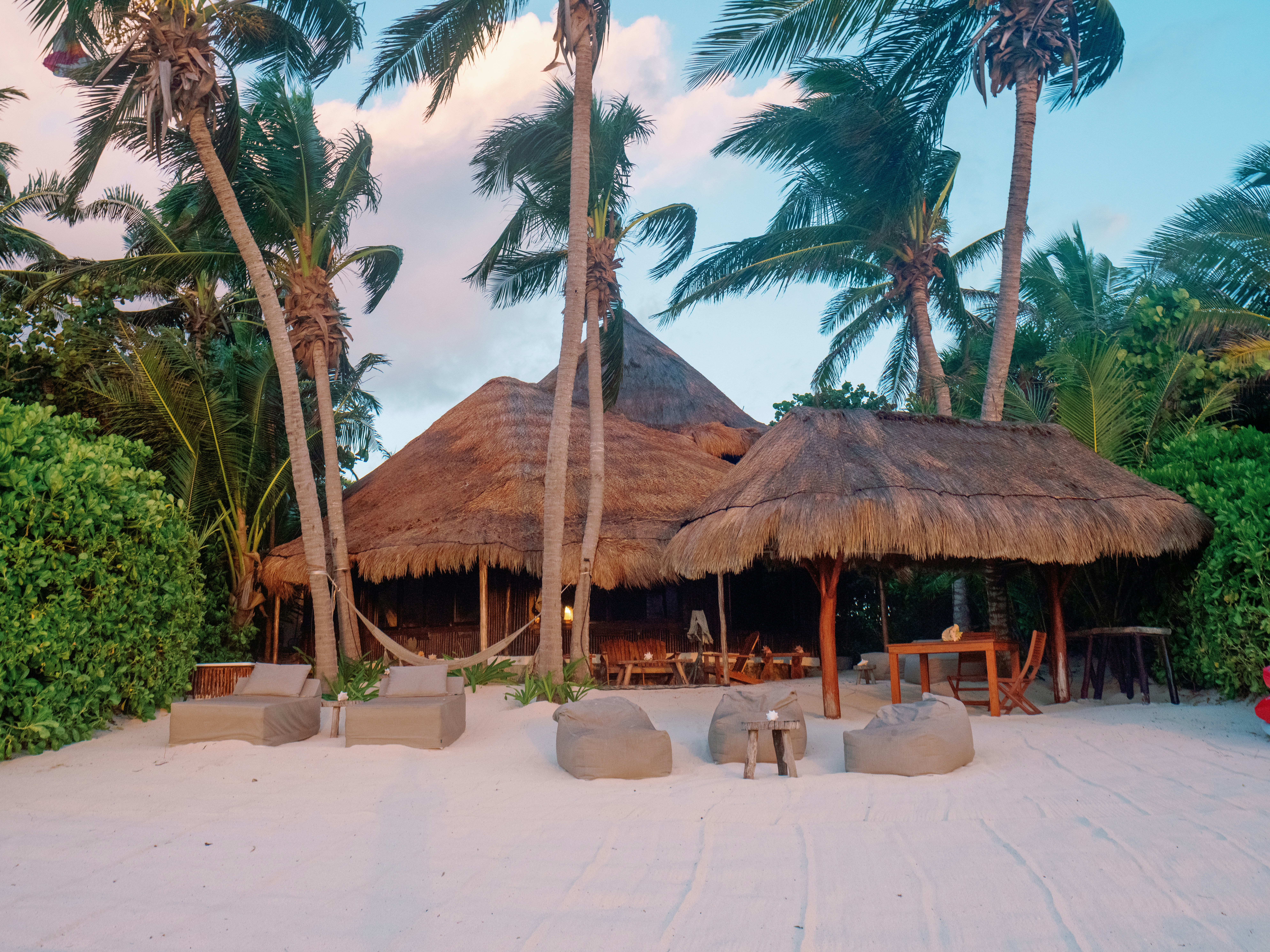 Beachside hut and lounge chairs under palm trees.