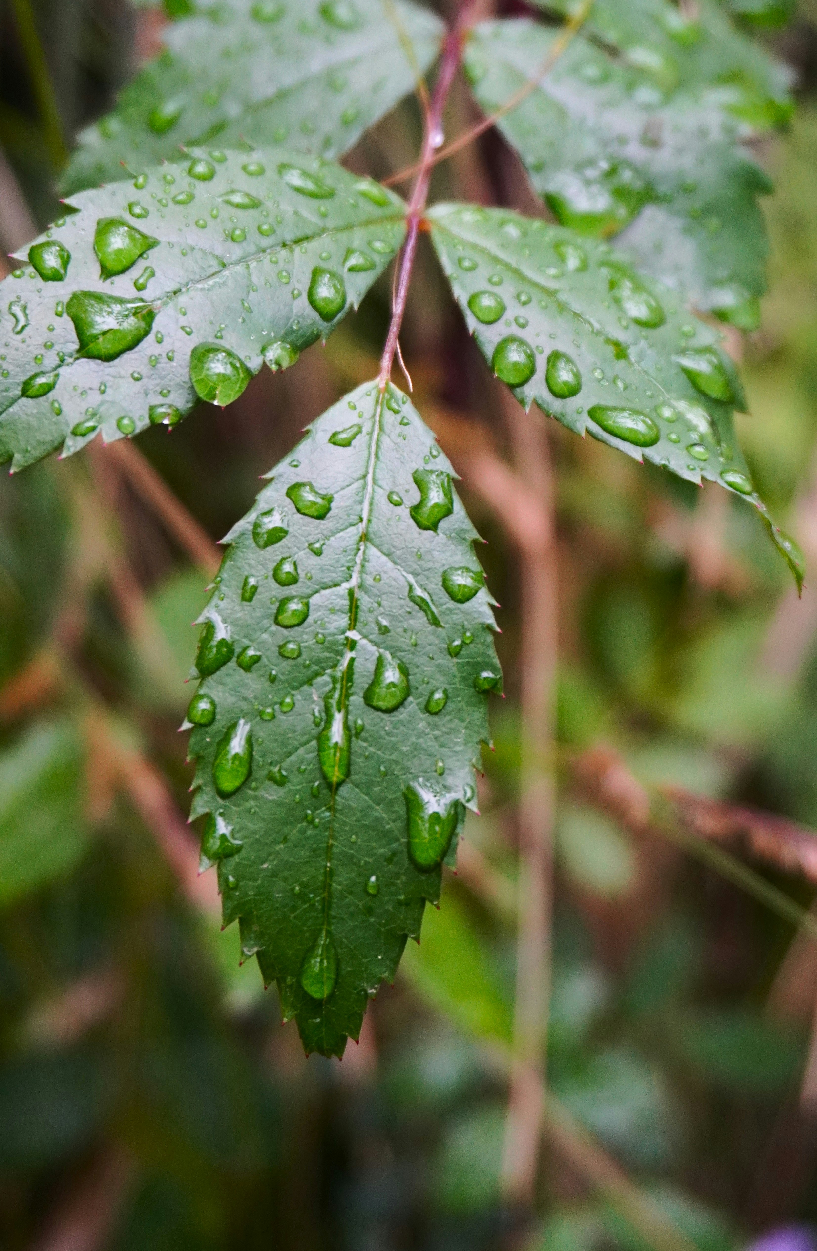 Photo by aditipanatu95