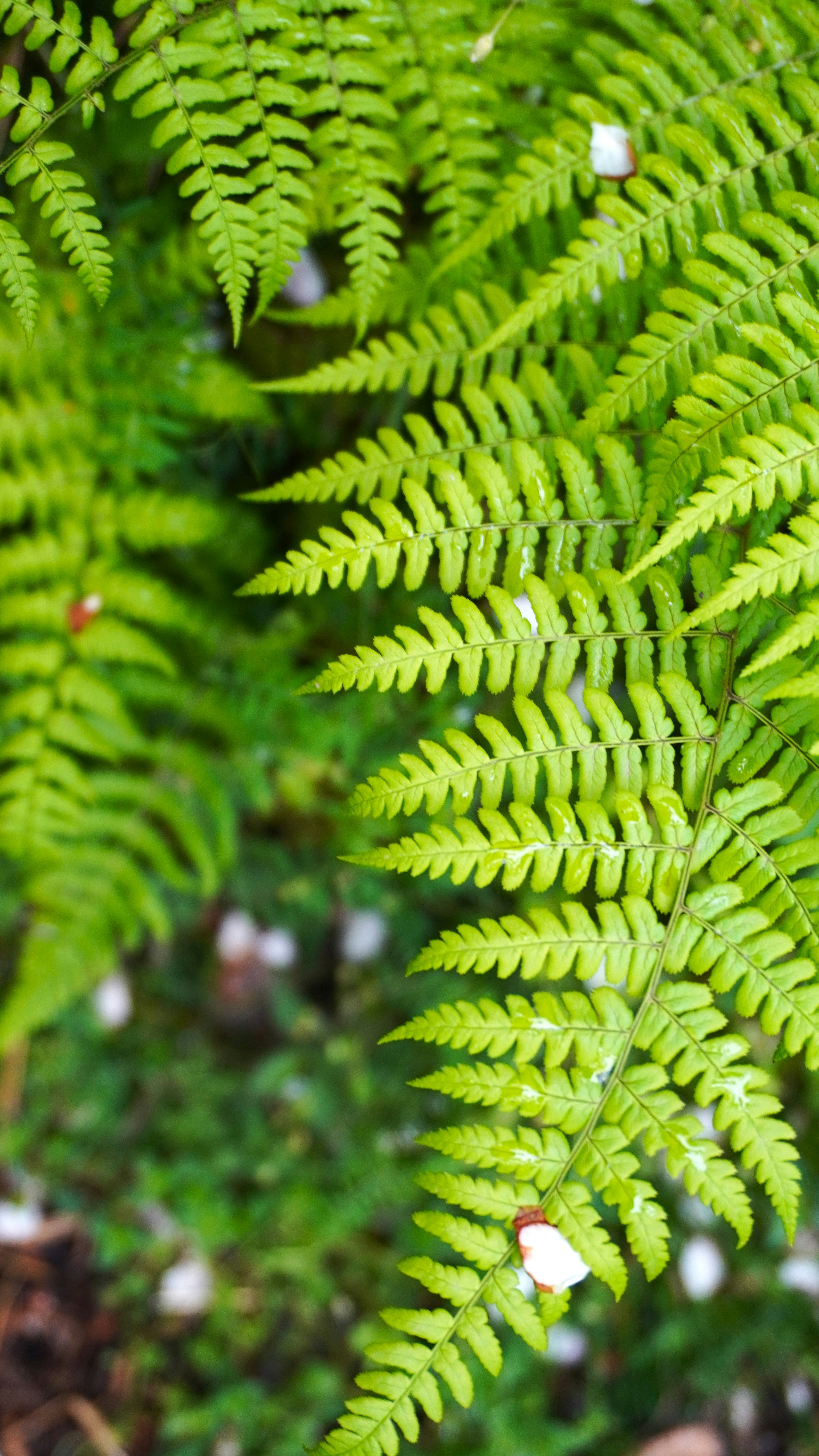 Photo by aditipanatu95