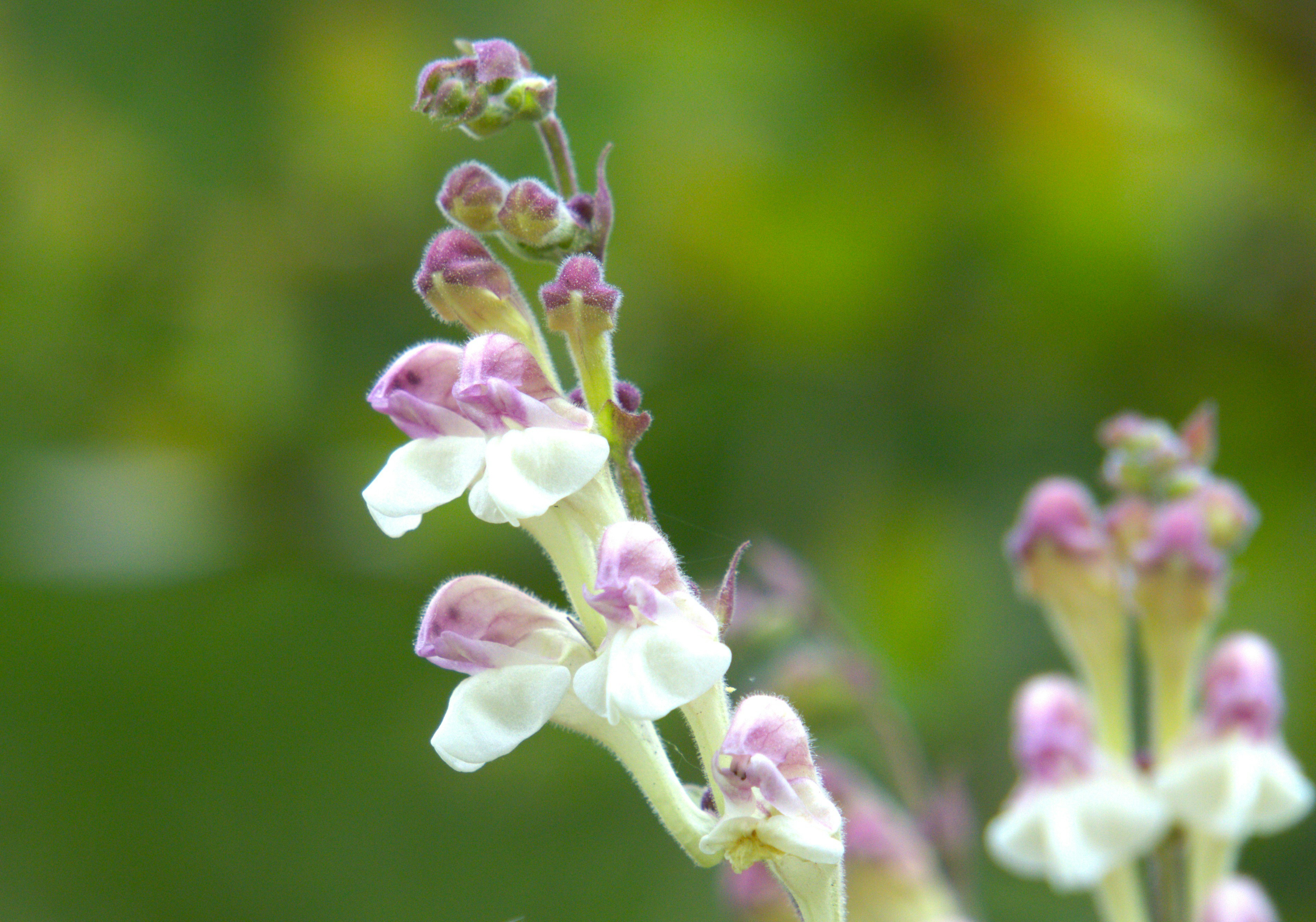 Photo by aditipanatu95