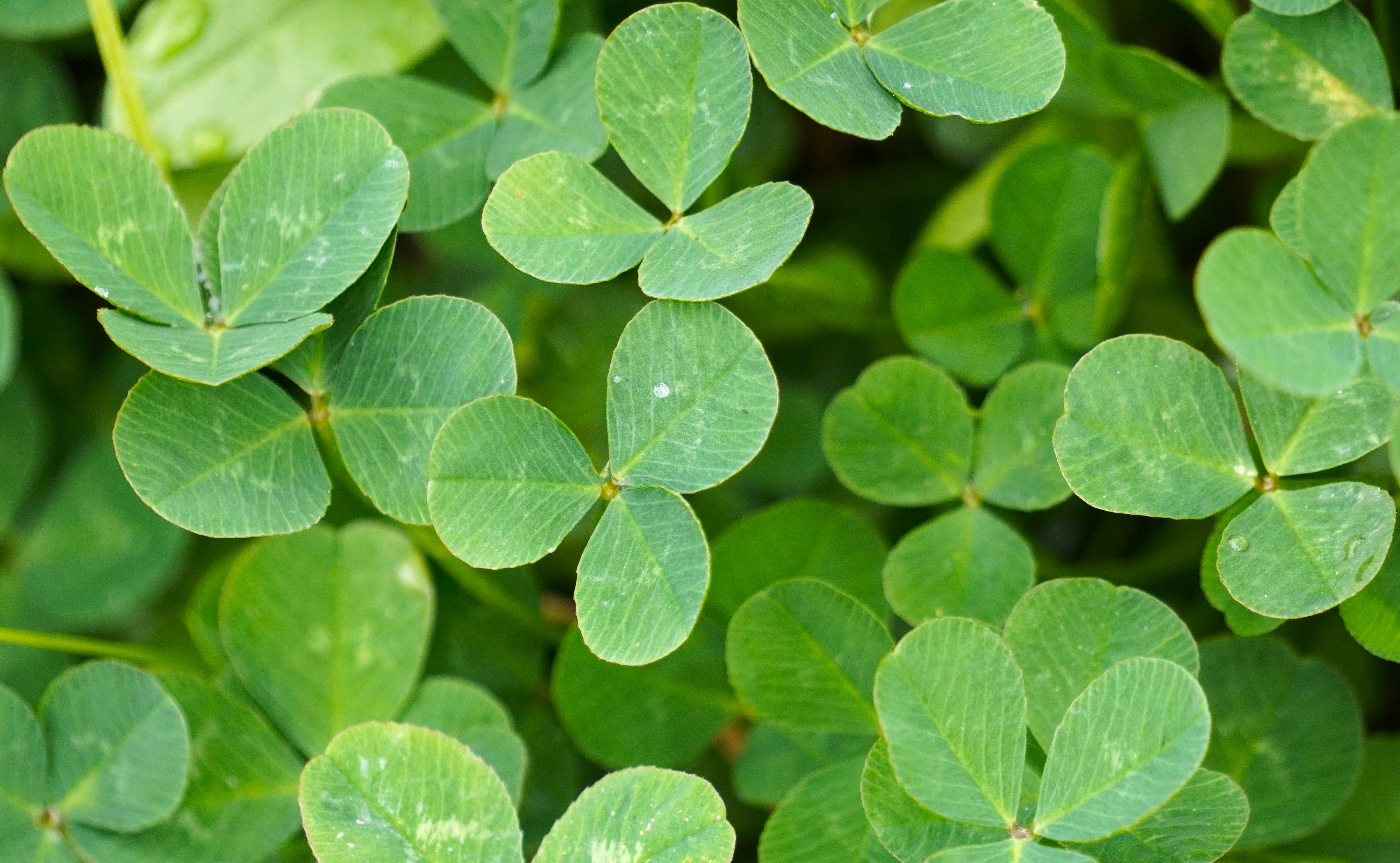 Photo by aditipanatu95