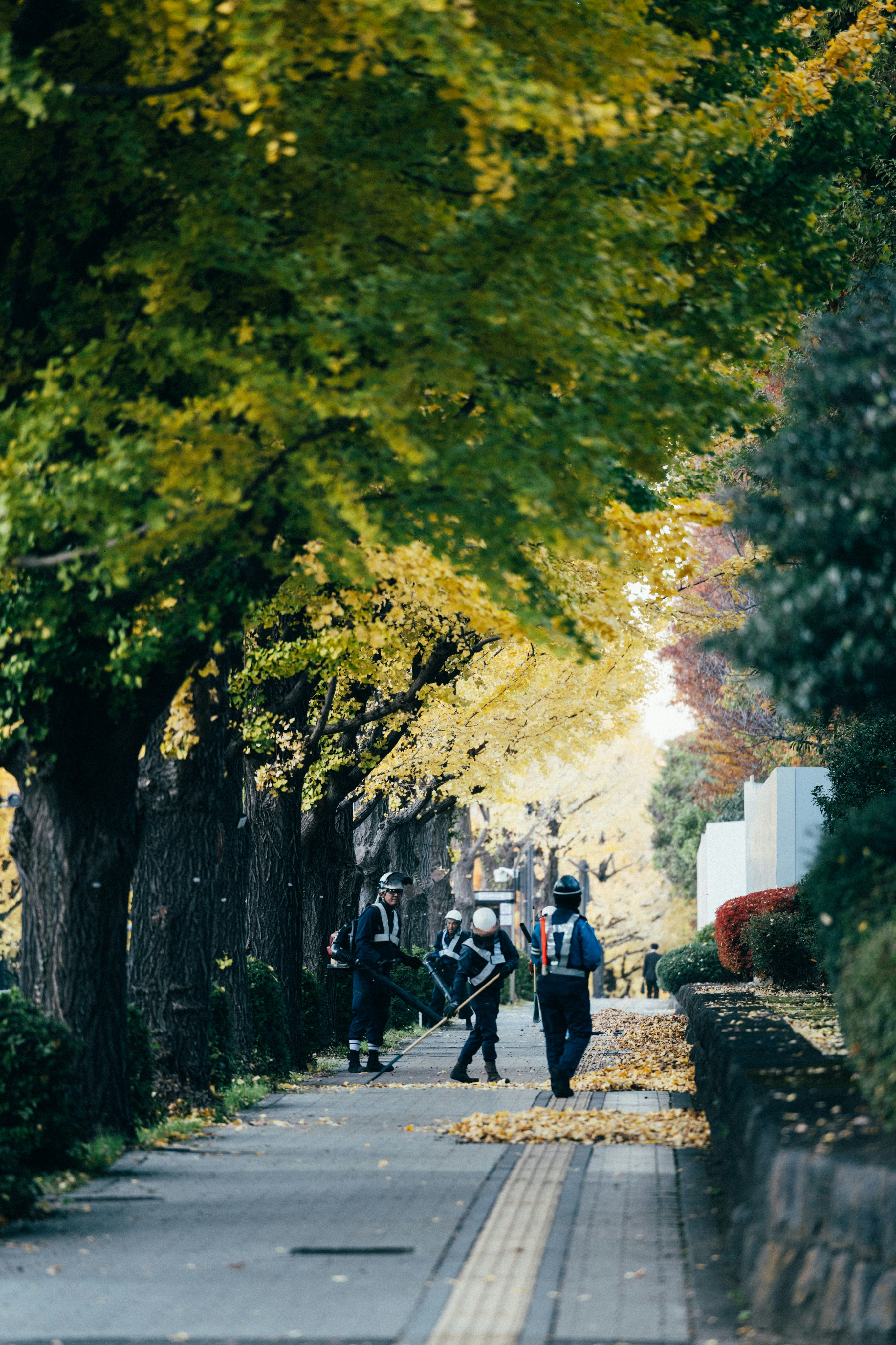 Photo by tsuyoshikozu