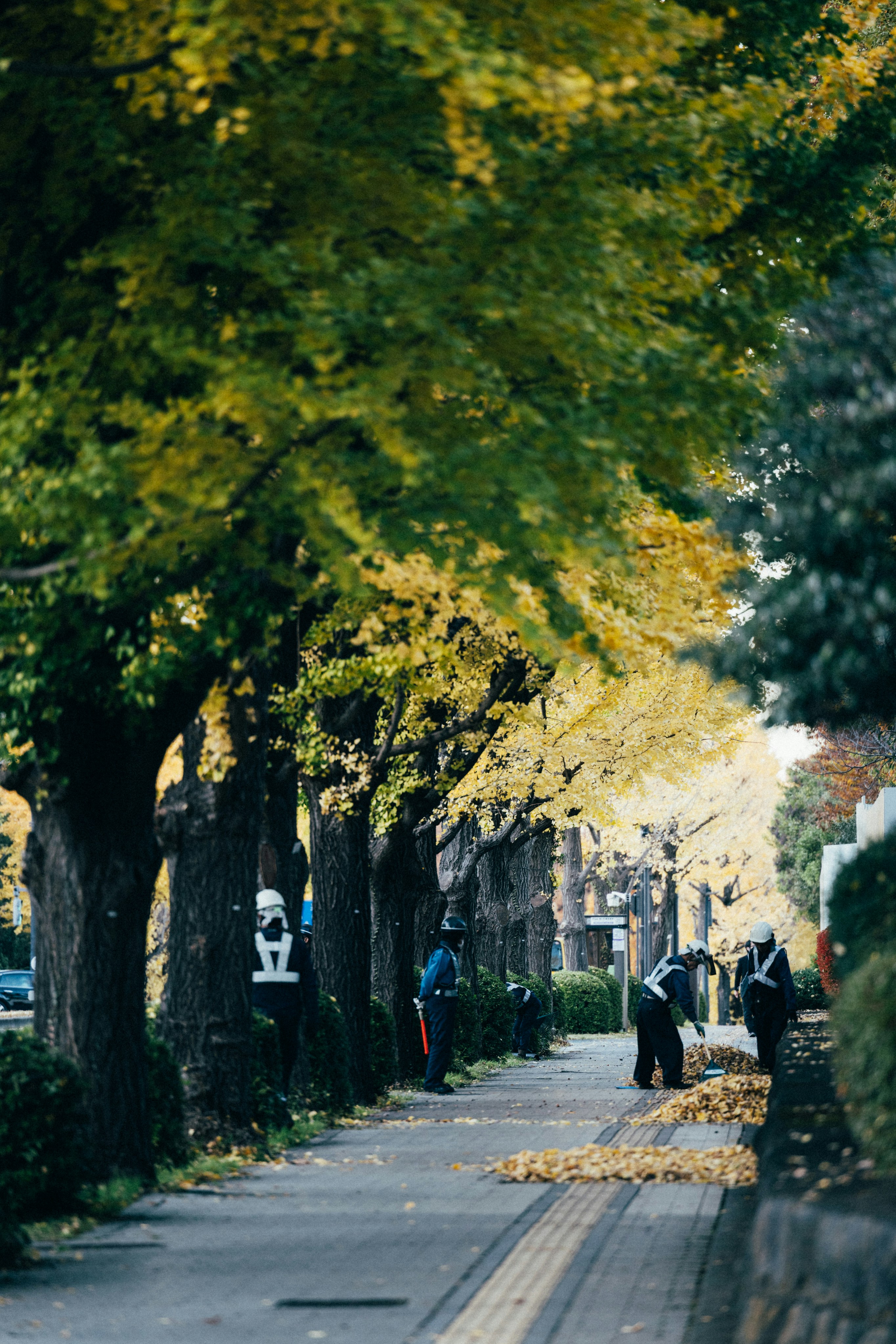 Photo by tsuyoshikozu