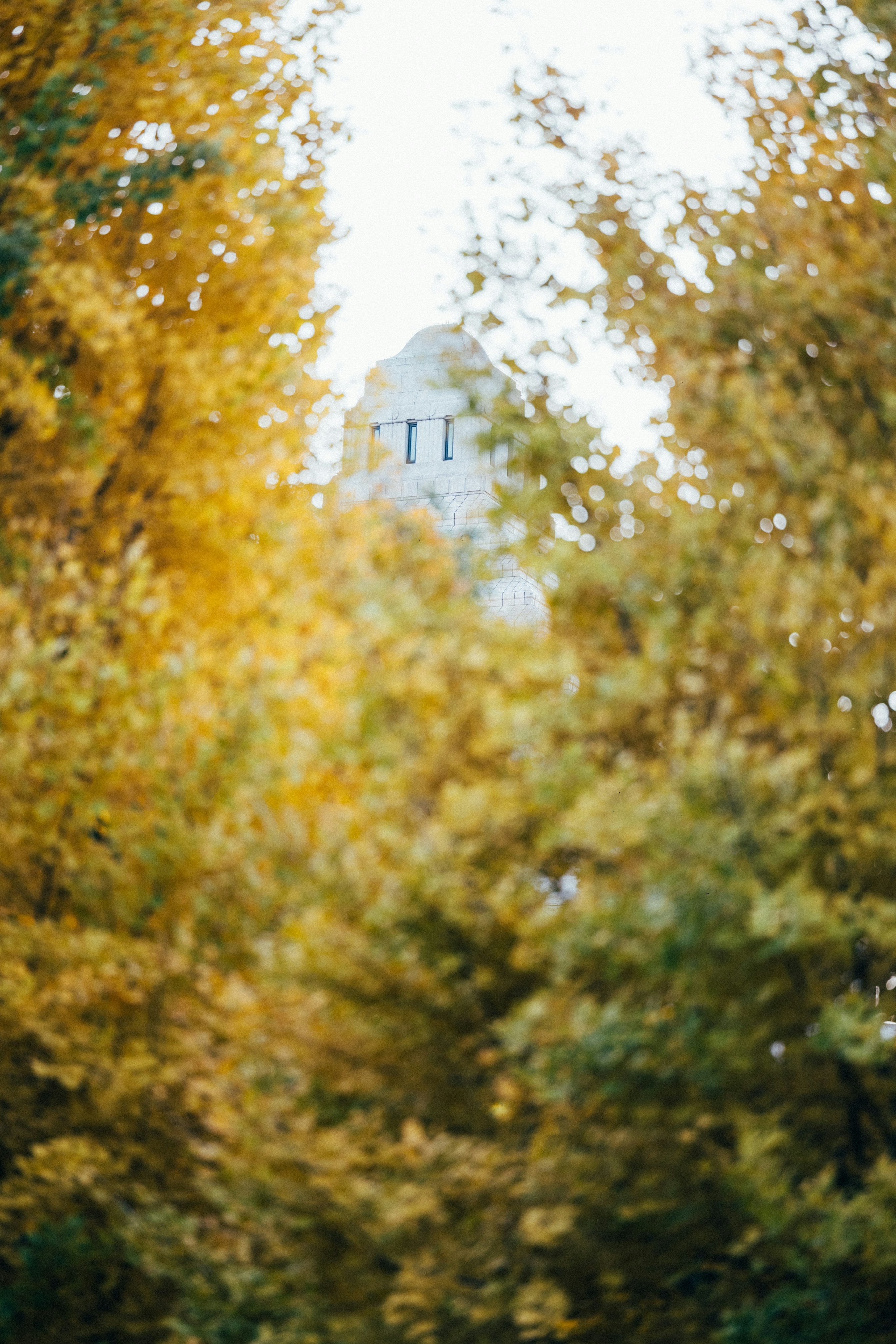 Photo by tsuyoshikozu