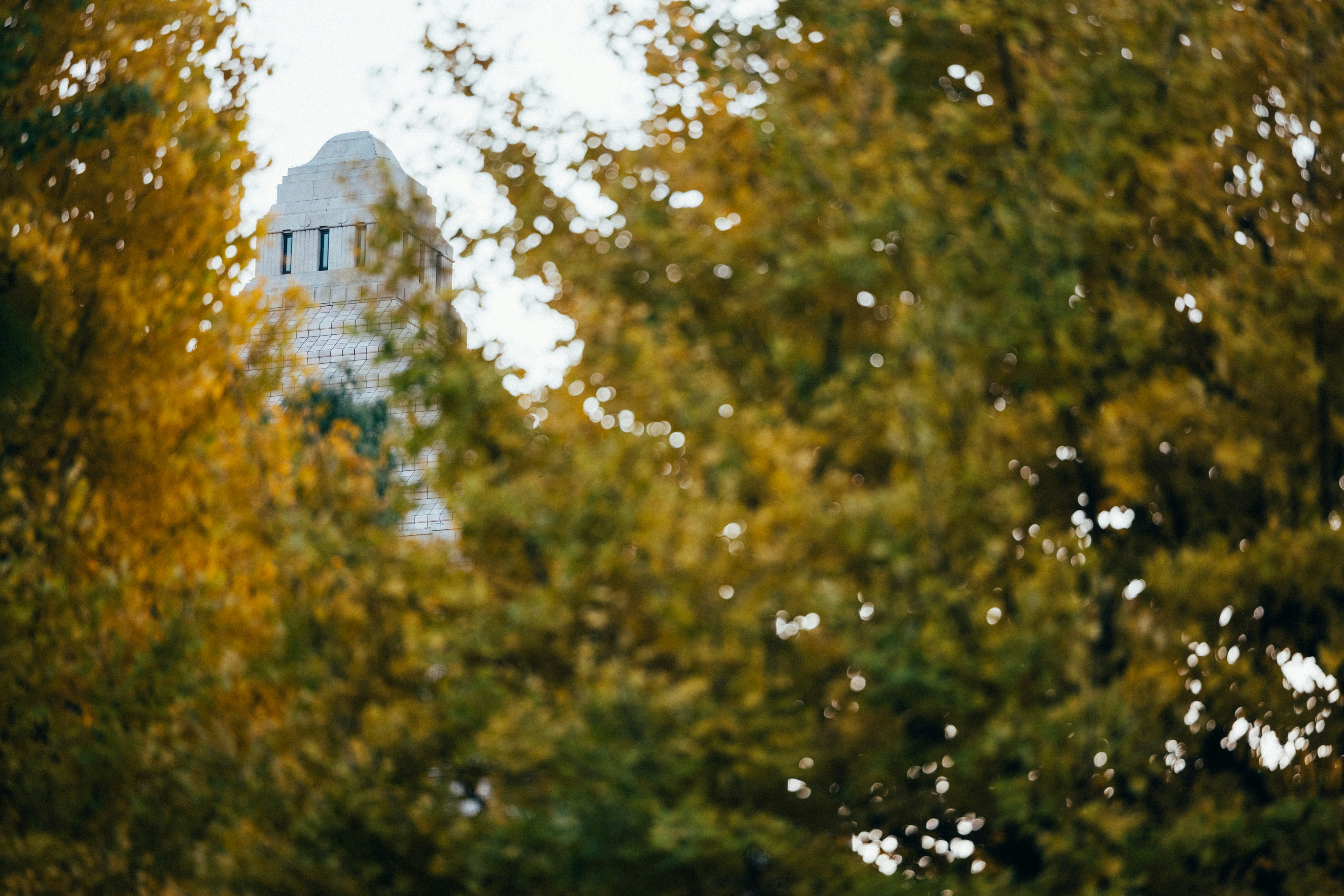 Photo by tsuyoshikozu