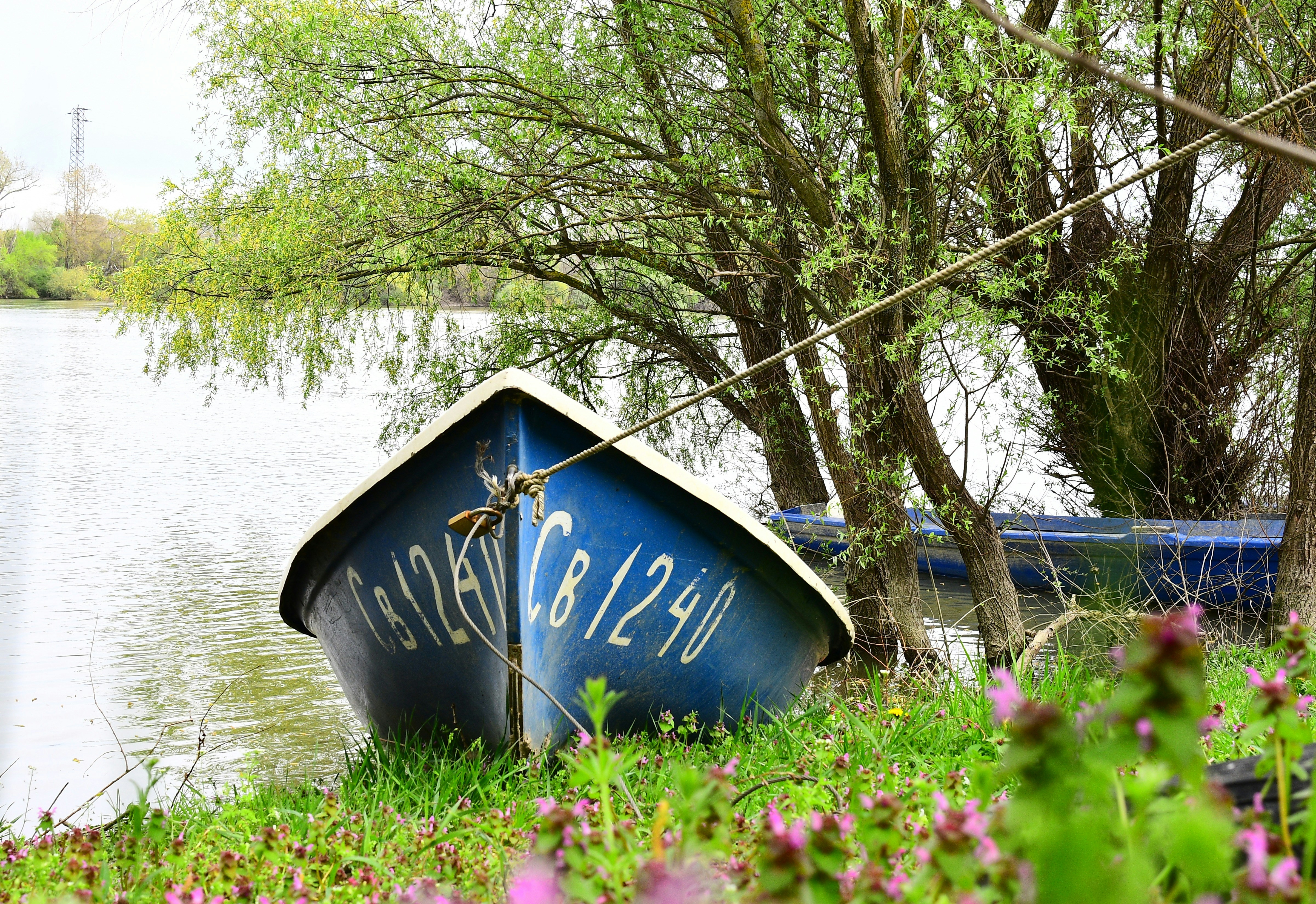 A blue boat rests on a grassy shore.