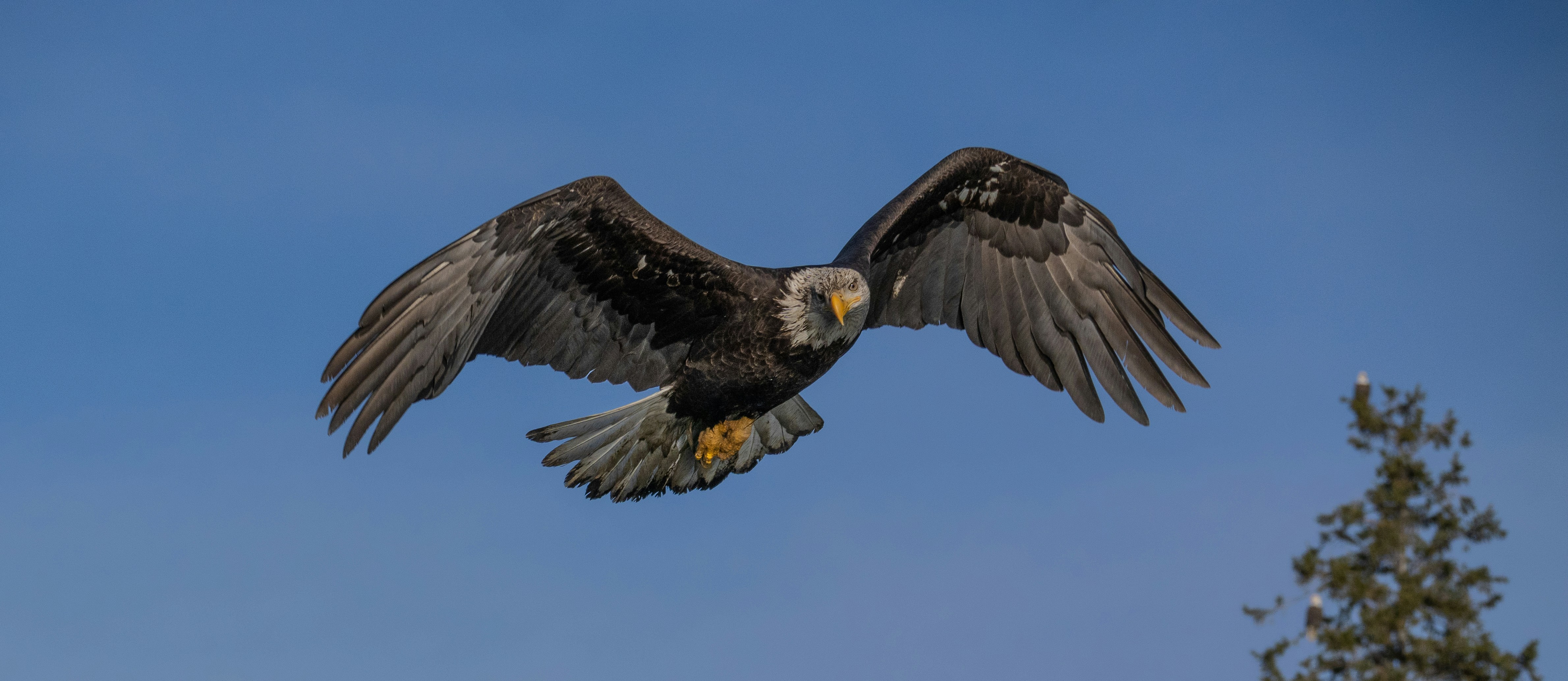 Photo by huntermastersmusic