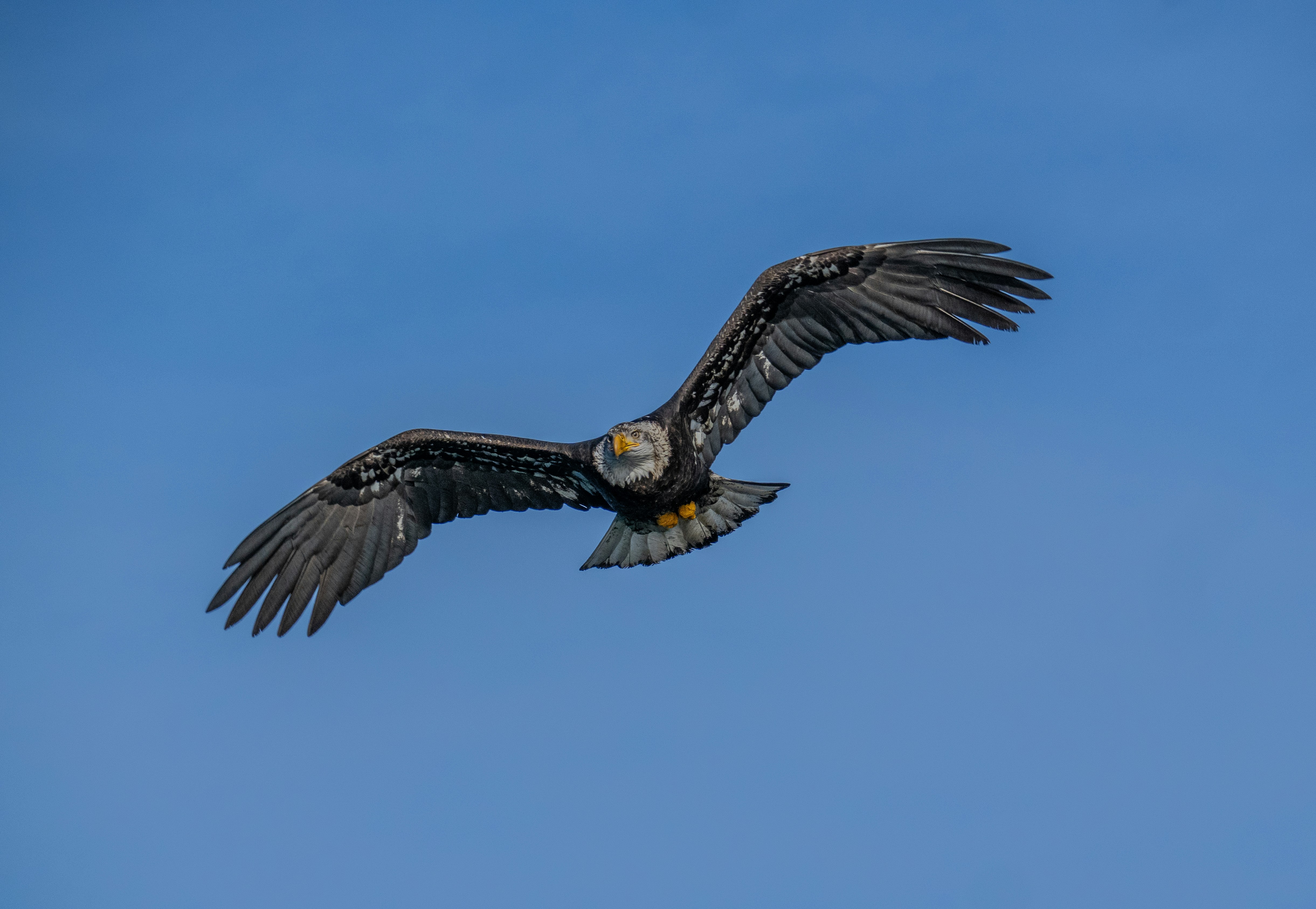 Photo by huntermastersmusic