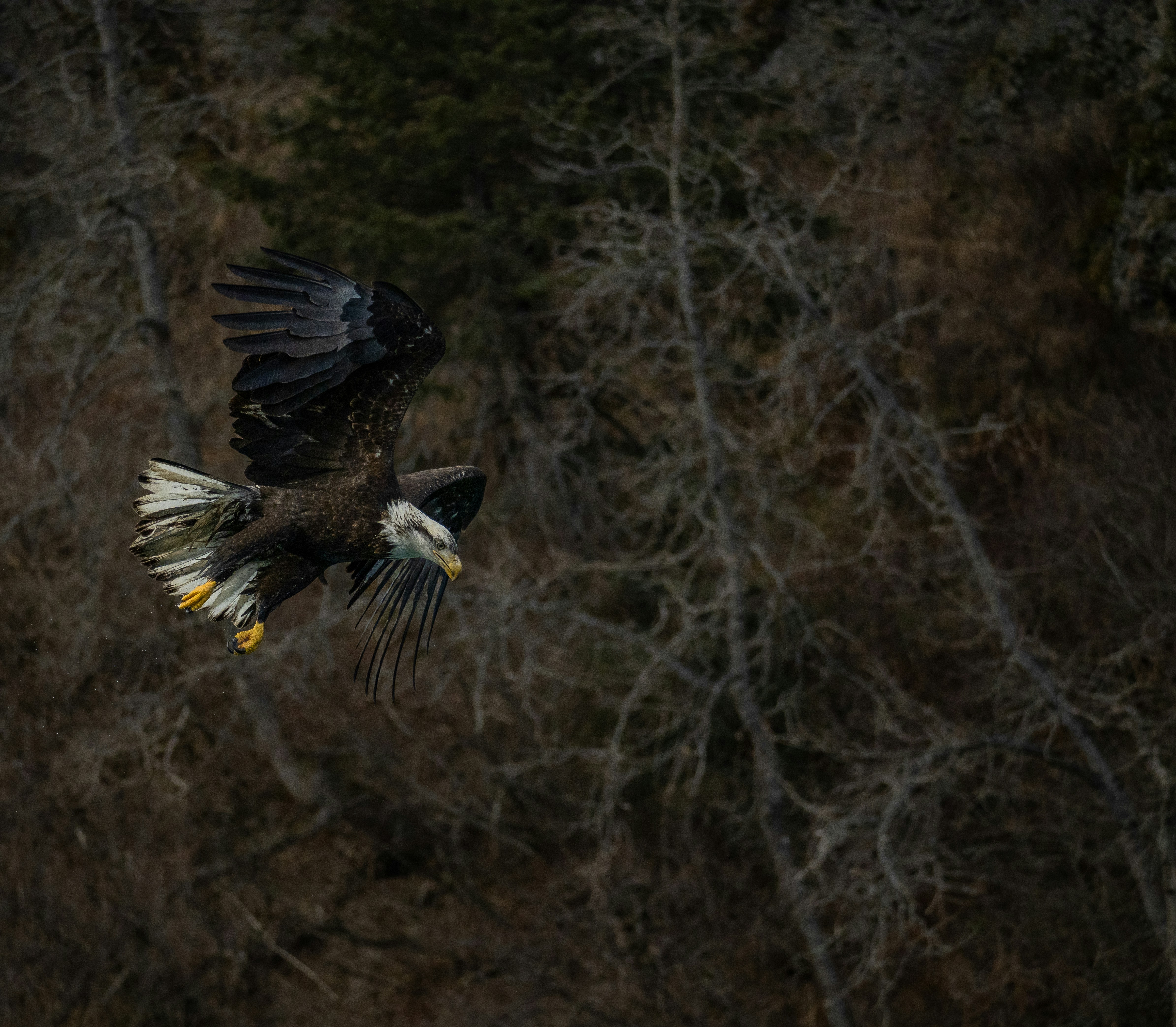 Photo by huntermastersmusic