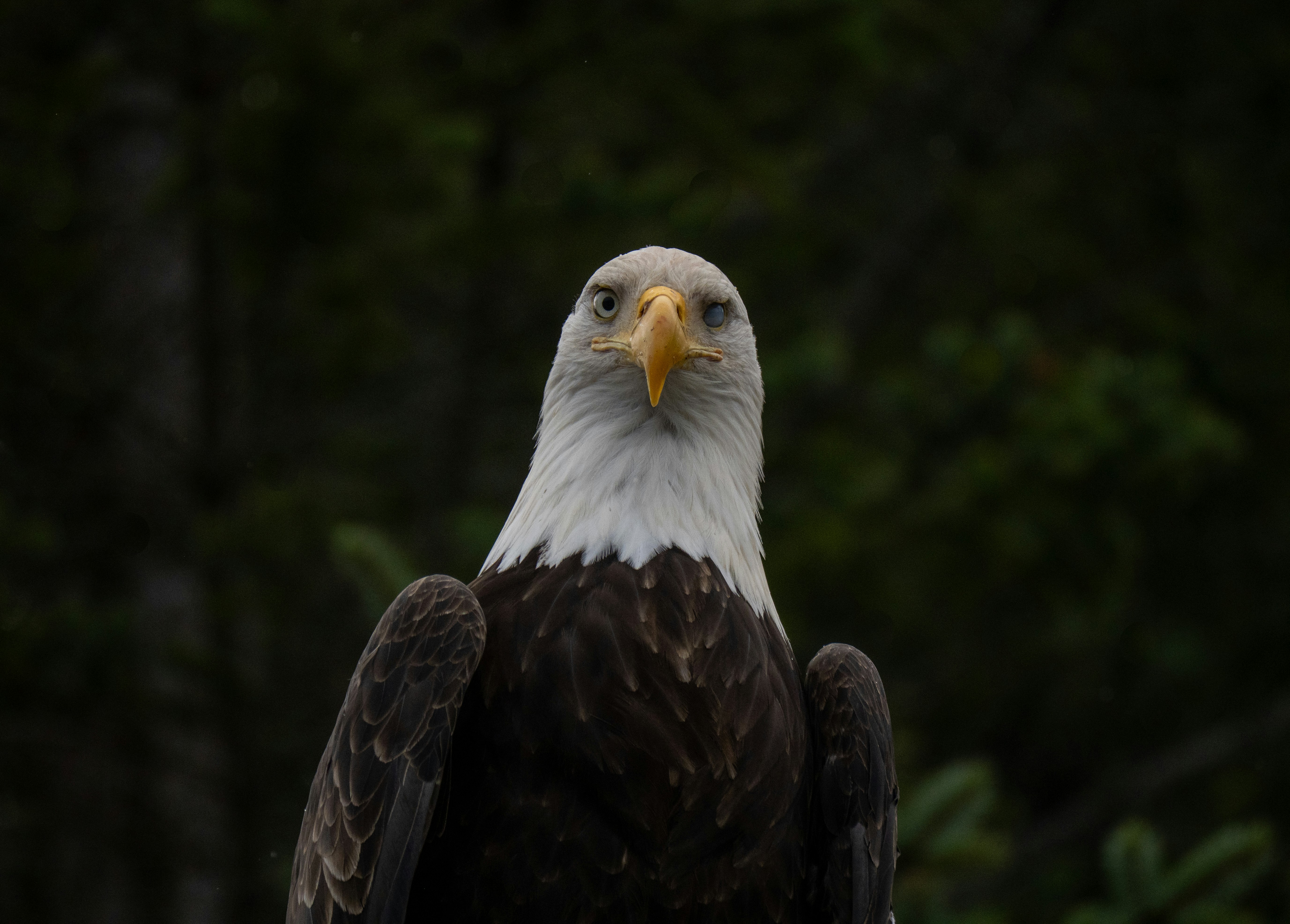 Photo by huntermastersmusic