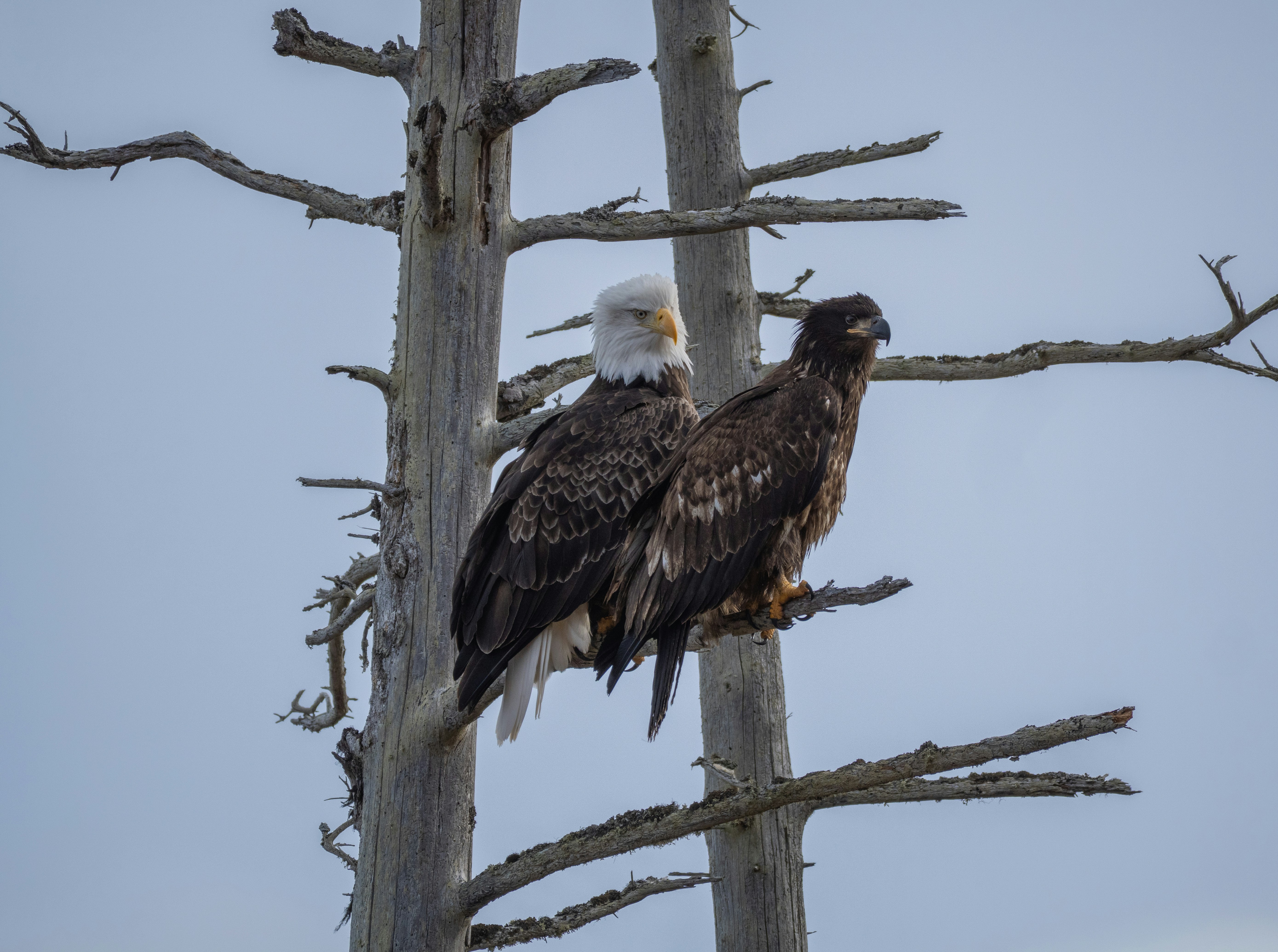 Photo by huntermastersmusic