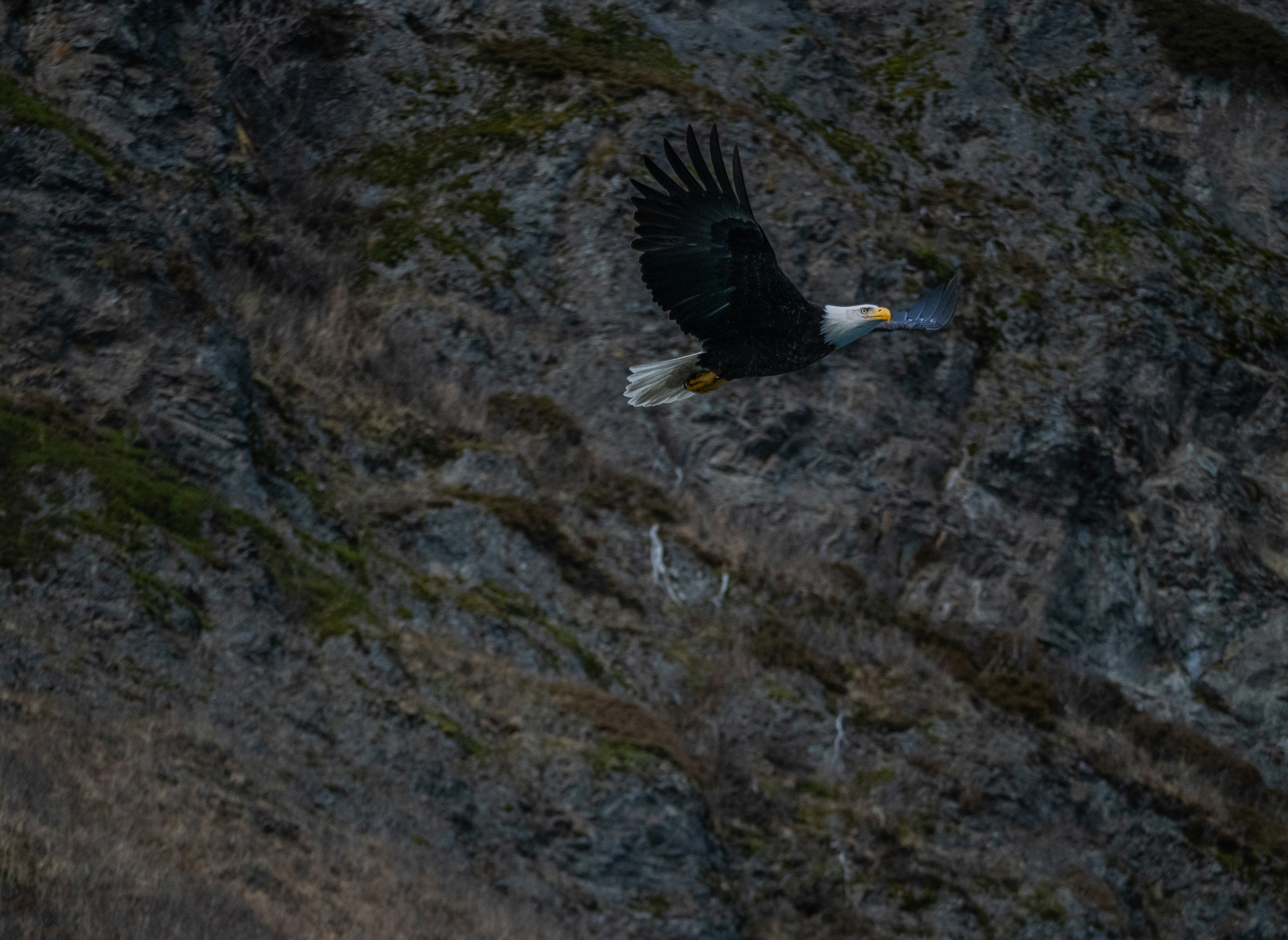 Photo by huntermastersmusic