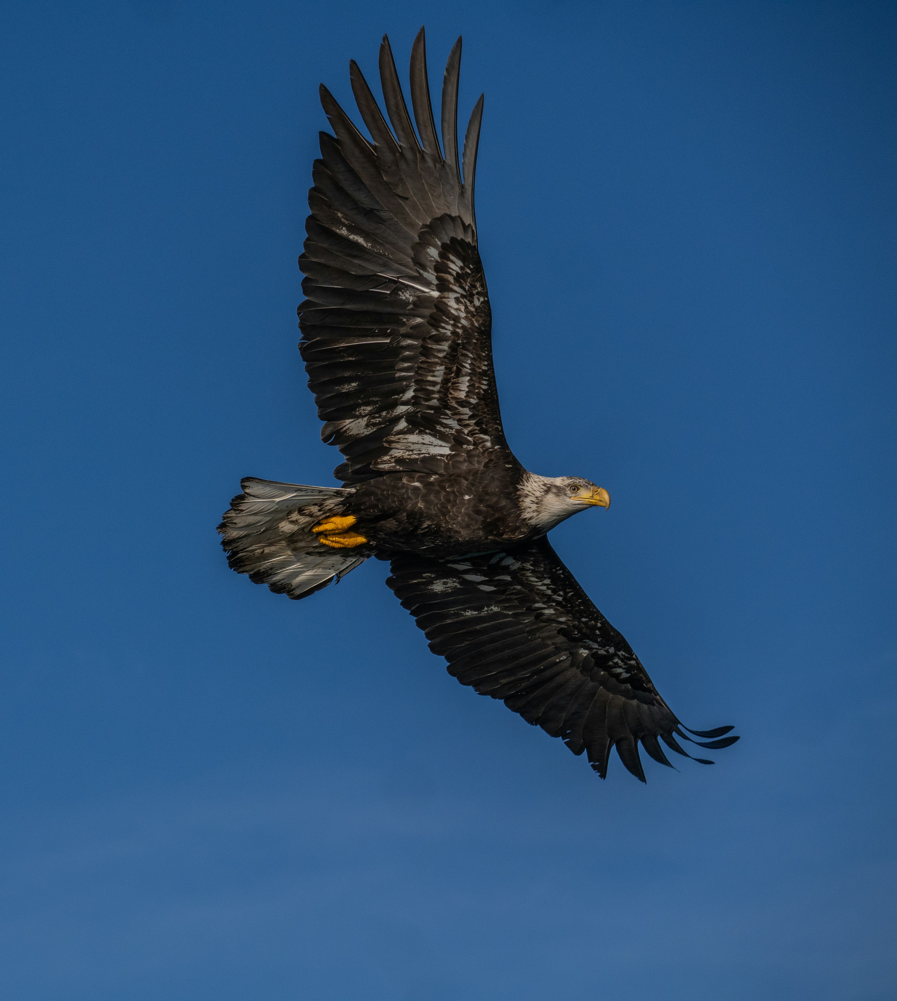 Photo by huntermastersmusic