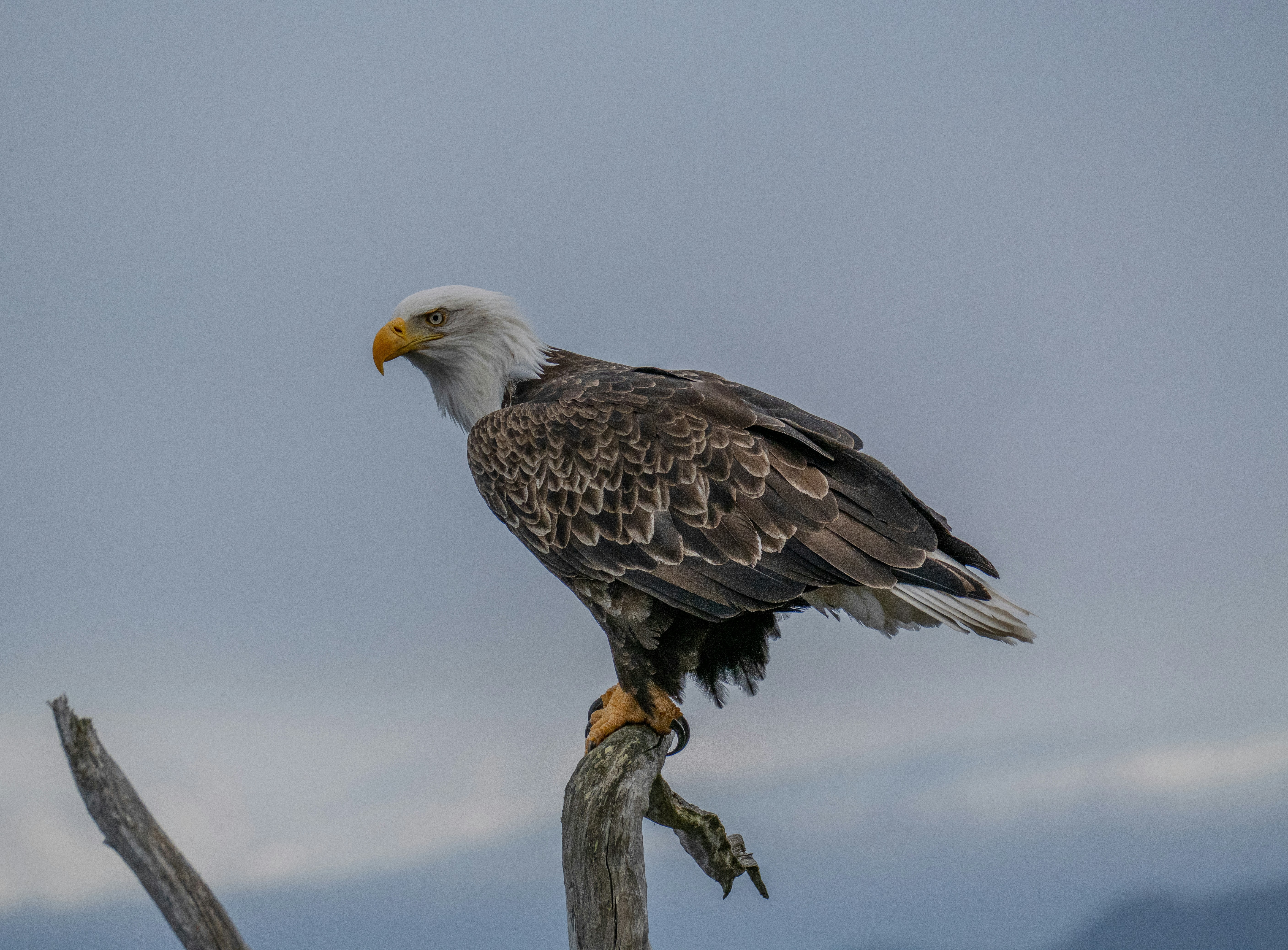 Photo by huntermastersmusic