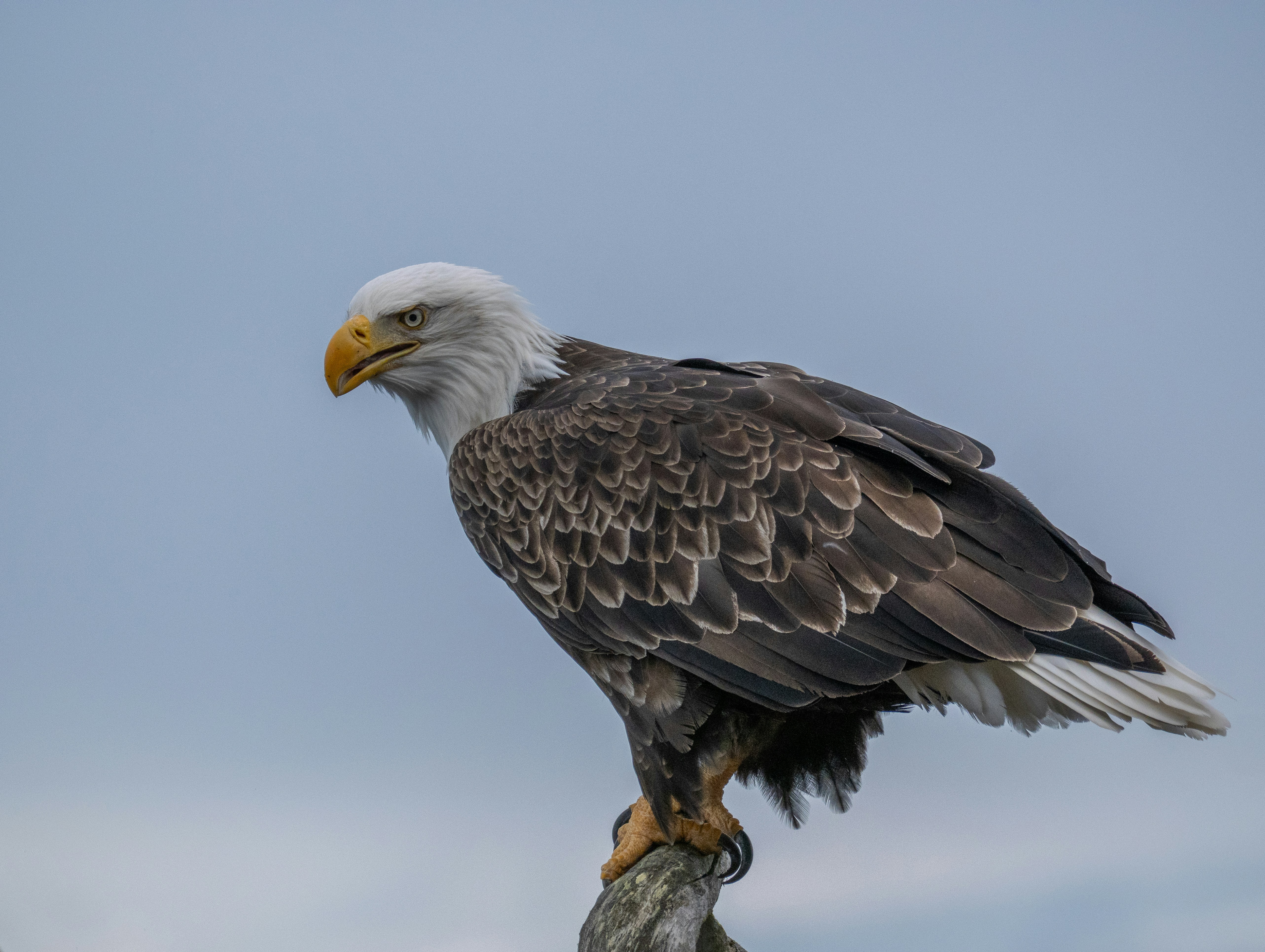 Photo by huntermastersmusic