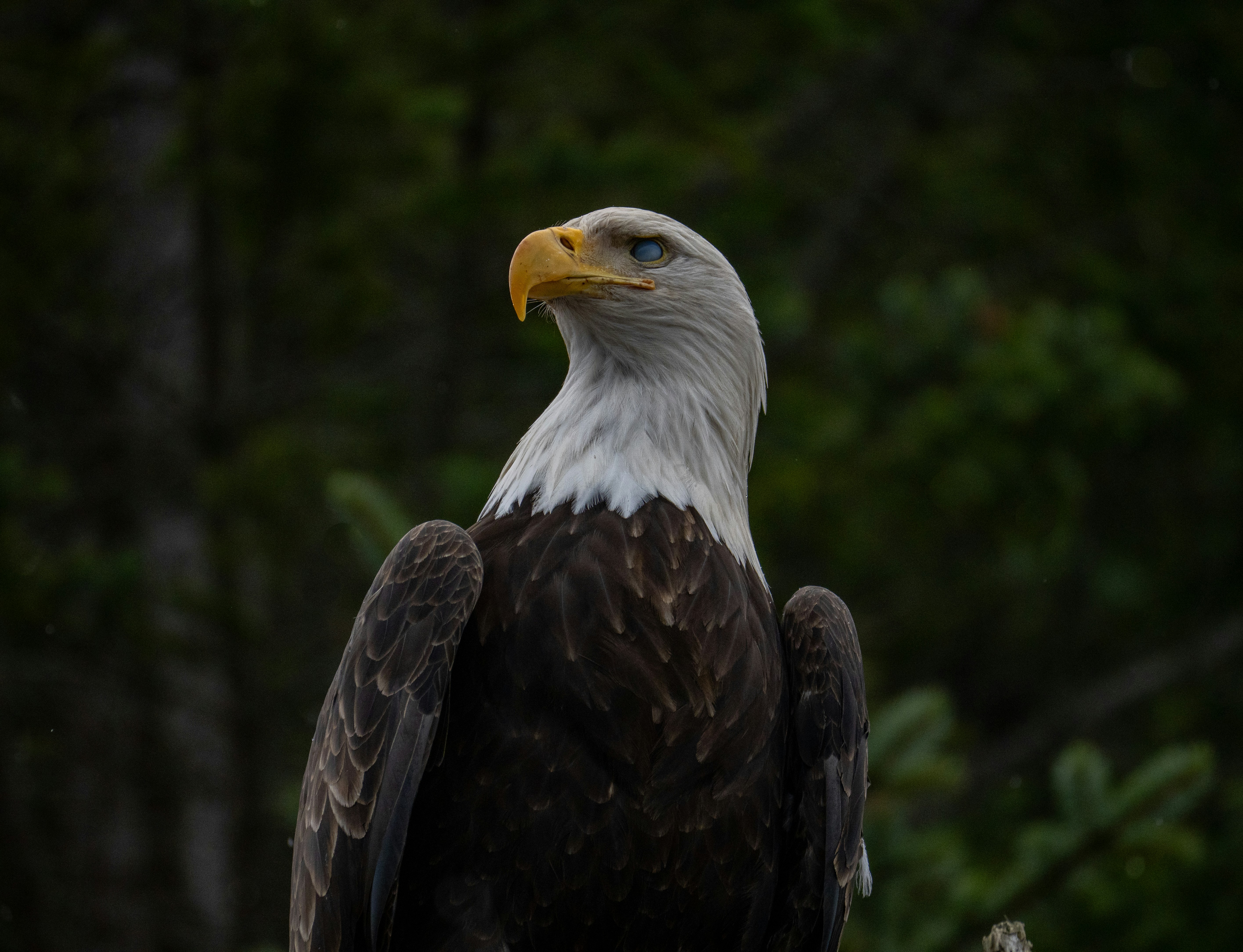 Photo by huntermastersmusic