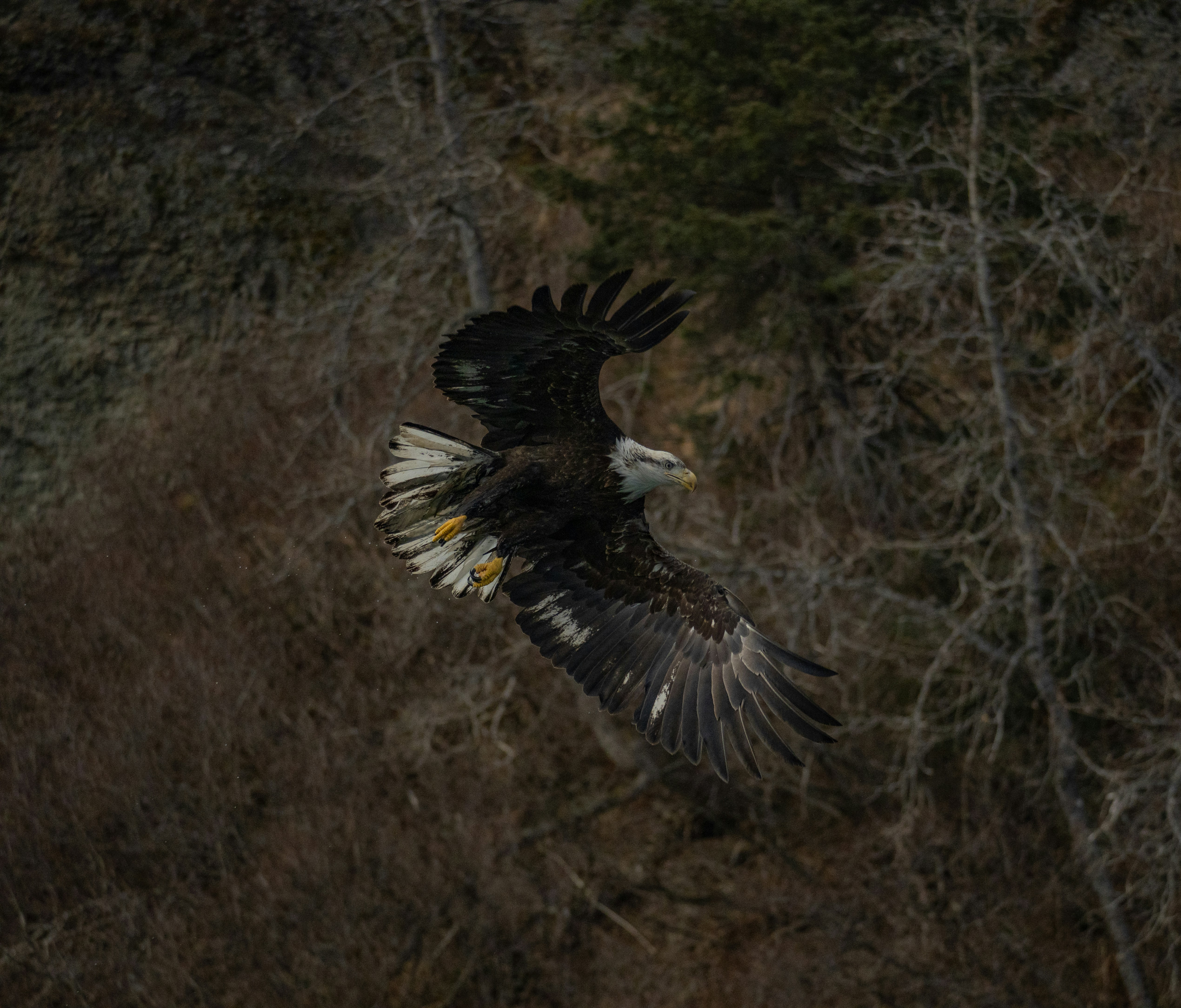 Photo by huntermastersmusic