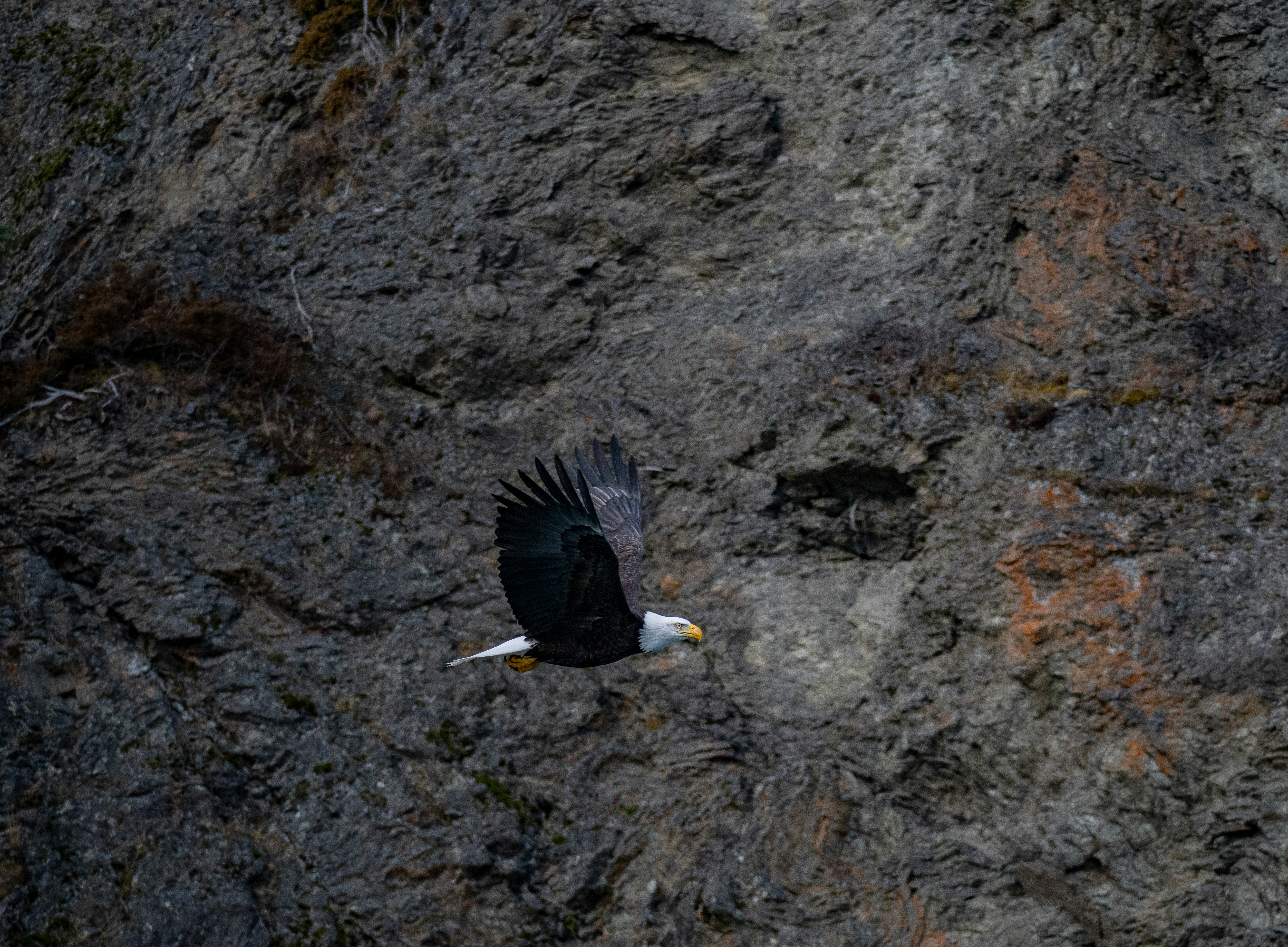 Photo by huntermastersmusic