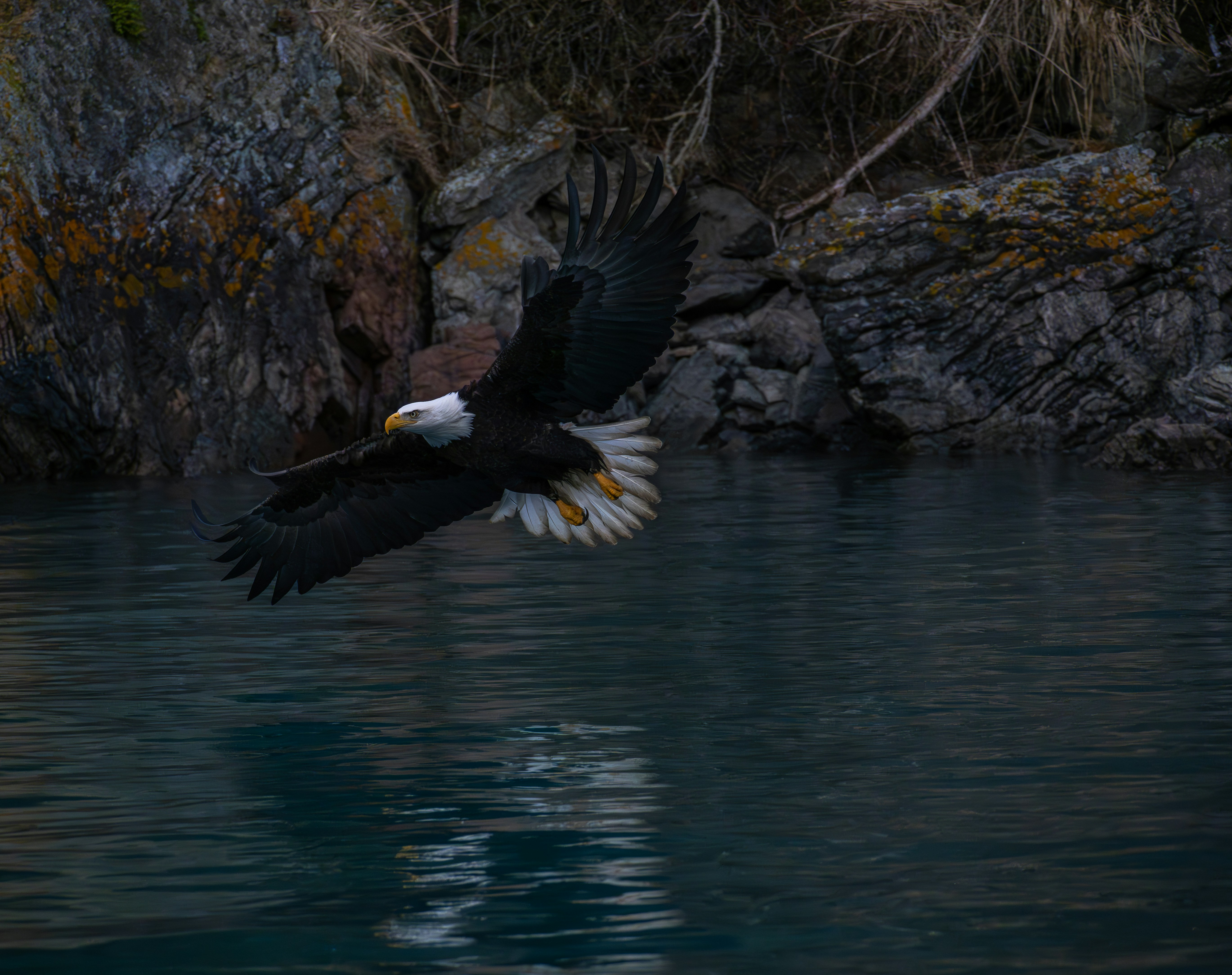 Photo by huntermastersmusic